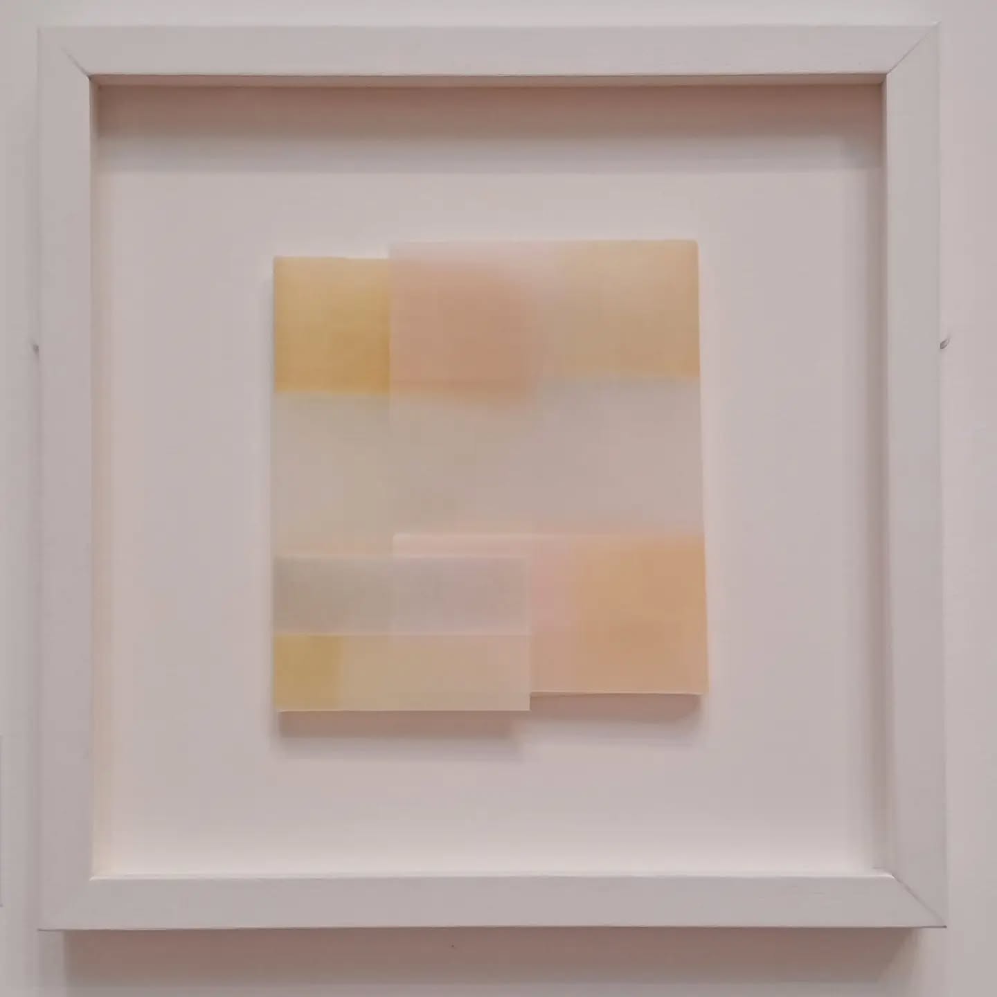 Delicate pencil drawing on tracing paper by Jane Bottery.... beautiful #rwabristol #janebottery