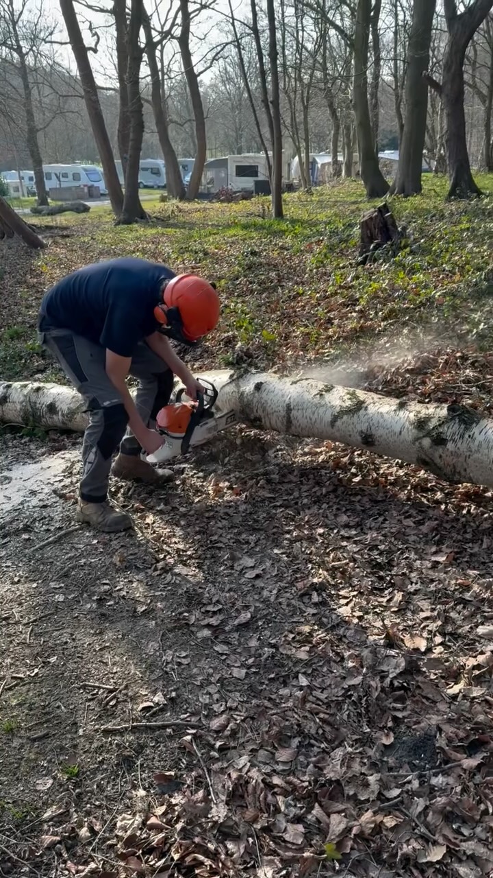 Another year of park progress, new additions, hard work and lovely customers! Thank you to everyone who has supported us and visited us this year, we hope to see everyone again soon and heres to 2026!🥂✨
#2025 #campsite #camping #caravanpark #glamping