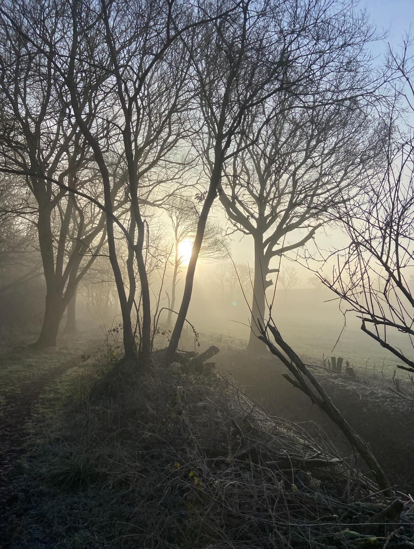 New Year’s Eve and the promise of new beginnings. I’m not a massive fan of the big new year celebrations - but I do on the other hand like the feeling of a reset and the excitement of turning over to a new page - a blank page with a new story to unfold.
This morning I rode in the woods - and it was magical. Happy New Year x