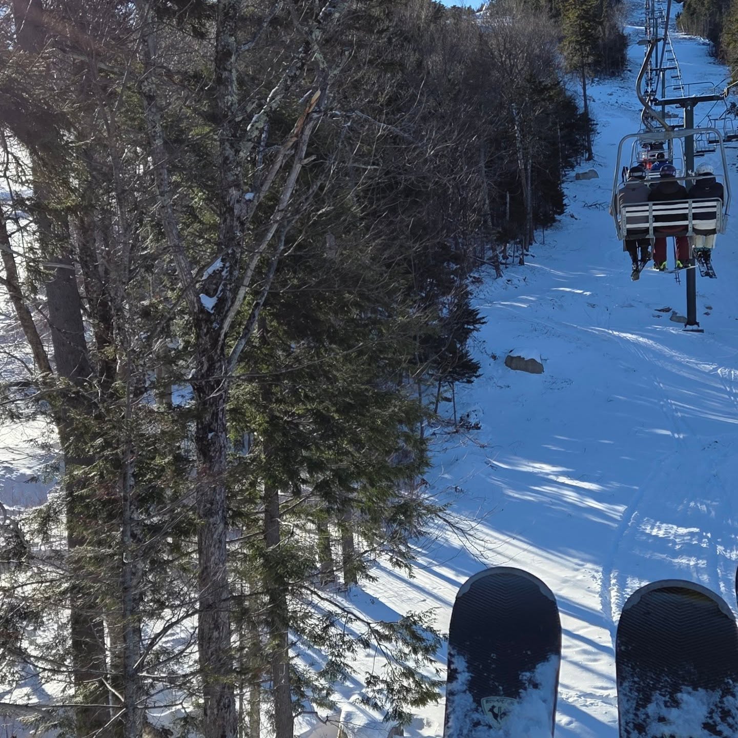 "Oh! Look at those beautiful balsam fir trees!"
"Wow! What a cool yellow birch, just growing in it's native range, all happy and healthy!"
"Hey guys, do you notice how the species of vegetation change as we reach higher elevation?"
(As heard when you're skiing with a horticulturist-plant-nerd)
#indyrevolution #trees #plantgeek #plantidentification #nobodyasked