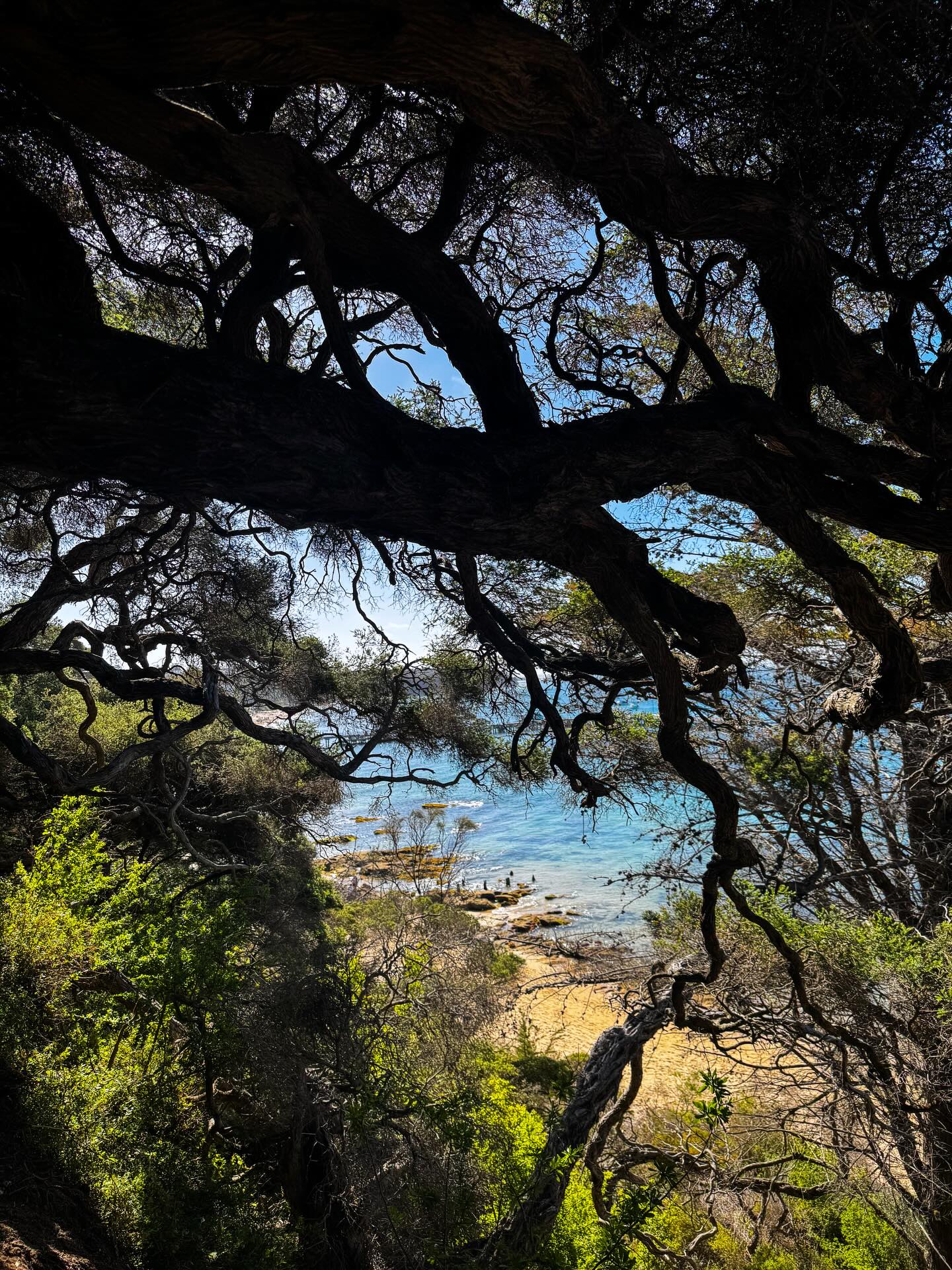 Happy new year 🥳 all you wonderful people out there. Feeling immensely grateful for an altogether leisurely week off and oodles of treasured time with family and friends. ‘Tis a true pleasure and an immense privilege to have another year in the memory bank. Wishing you the bliss of slowing down and finding freedom & peace in every little moment you can this year xx love you friends 💗
#happynewyear