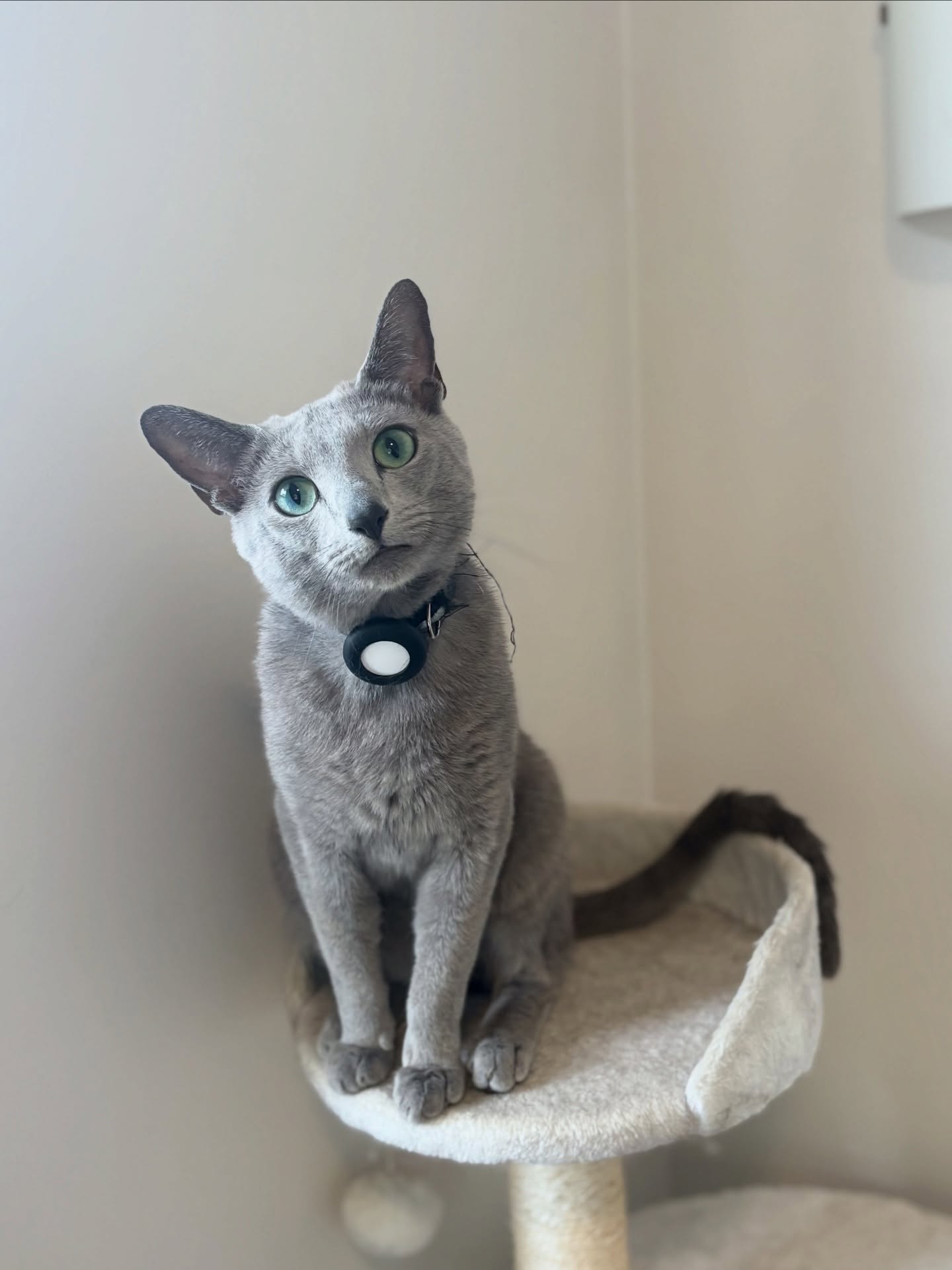 Happy New Year friends! 🥳🥳🥳
We love having you along for this wild ride called life 😍
Which picture is my best angle 😏