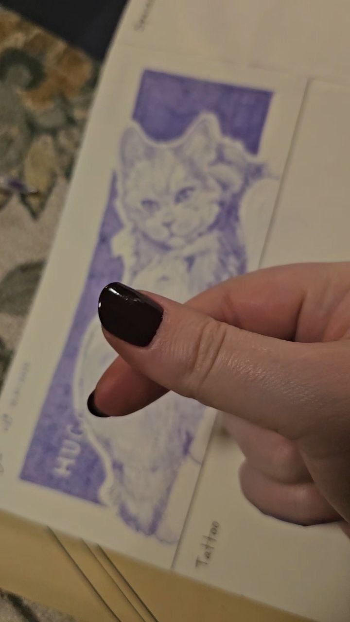 Really enjoying challenging myself with this drawing prompts book! This is the 7th drawing I've done so far and am excited to see the rest! Follow my journey in my highlights and I work through this book ✏️📖
#canadianartist #500drawingprompts #challenge #skills #artistsoninstagram