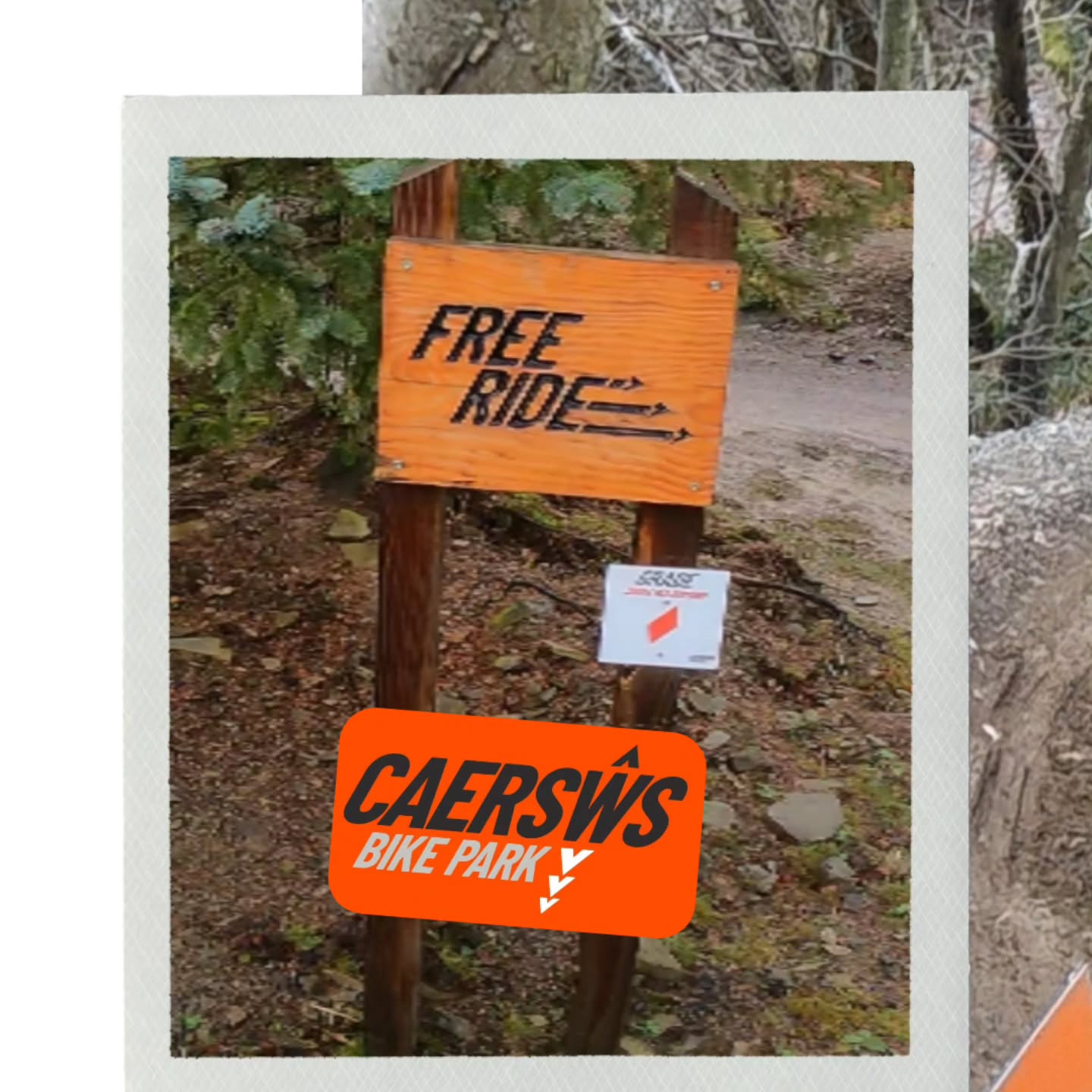 Preparation and planning for coaching takes a lot of time which riders don't see. With a new venue we have to learn the trails, find safe areas to stop on the trail not only for us as coaches but for the riders we ate coaching and the other riders on the trails.
This is only the start, once we have a rider / riders booked the planning for the session starts so we can deliver a professional and fun session where riders take away new skills to practice and improve their riding.
With 4 coaches and 5 locations and bookings through to October if you fancy improving your knowledge and riding skills for your adventures in 2026 then let us know what you want to achieve and let's hit the trails.
@deviatecycles
@biketart
@peatysproducts
@burgtec
@sprayway
#mtbcoaching
#mtbenduro
#mtbdh