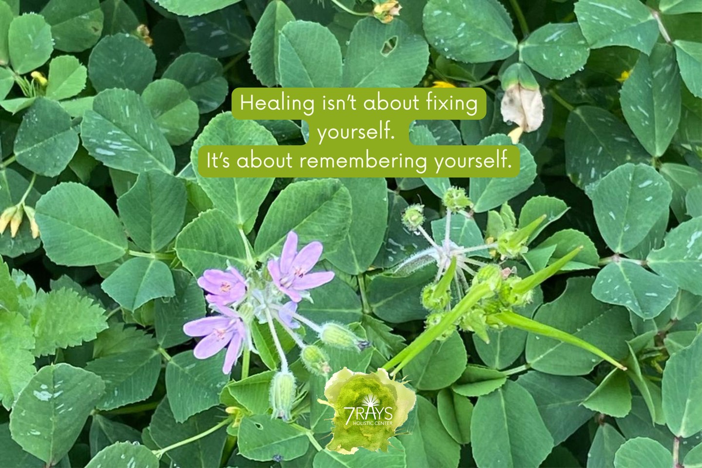 🌿 Unraveling Who You Had to Be 🌿
Many of us built our personalities like armor—crafted in childhood, shaped by trauma, silence, or survival. The Enneagram helps us see the structure. Family Constellations reveals the roots. Color Therapy softens the emotional charge.
💠 Together, they invite you back to your essence—who you were before the need to protect, please, or perform.
🧡 Healing isn’t about fixing yourself. It’s about remembering yourself.
💬 What part of your personality do you now see as protection, not truth?
📸 Photo by Hemla
#reawakenthepower
Read More: https://www.7raysholisticcenter.com
#enneagram #colortherapy #familyconstellations #CrystalHealing #EnergyWork #Intuition #Productivity #SpiritualGrowth
#ColorTherapy #SelfExpression #ChakraHealing #7rays
#HoldingSpace #FamilyHealing