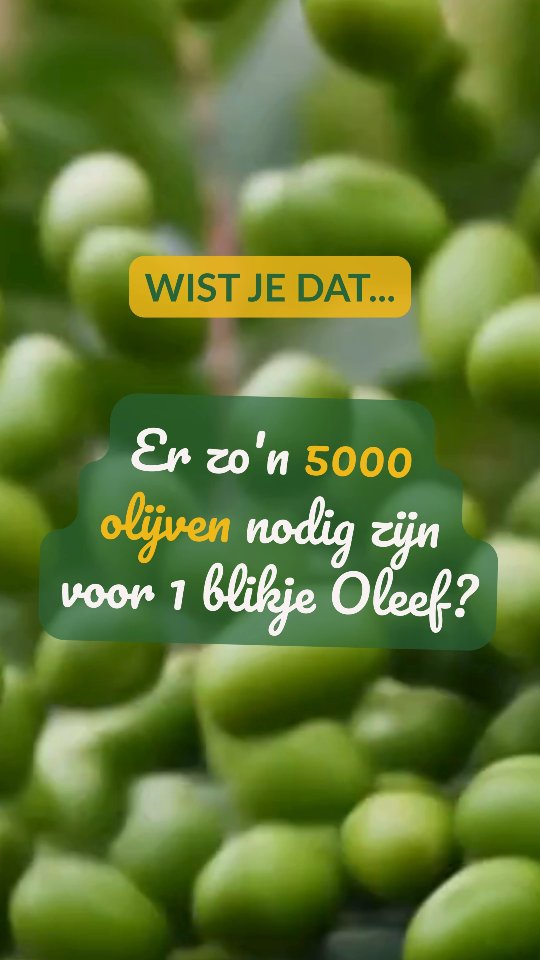 Het is weer die rare tussen-tijd tussen kerst en oud & nieuw. Waarin dagen door elkaar lopen en niemand meer weet welke dag het is.
Dit jaar zat vol nieuwe ideeën (sommige goed, sommige licht ambitieus🤭), spannende keuzes en heel veel lessen.
En dat had ik nooit kunnen doen zonder jullie!
Dankjewel dat je Oleef volgt, proeft, deelt, op je aanrecht, in je keuken en hopelijk steeds vaker op je bord!
Wist je trouwens dat er zo’n 5000(!) olijven nodig zijn voor één blikje Oleef? 🫒 Elke druppel telt, maar, dip het leven niet te serieus 😉.
Ik hoop dat deze dagen gevuld zijn met gezellige momenten, fijne mensen en vooral: veel lekker eten met goede olijfolie 👌🏼.
Op naar een Oleeflijk goed nieuw jaar ✨
Rianne