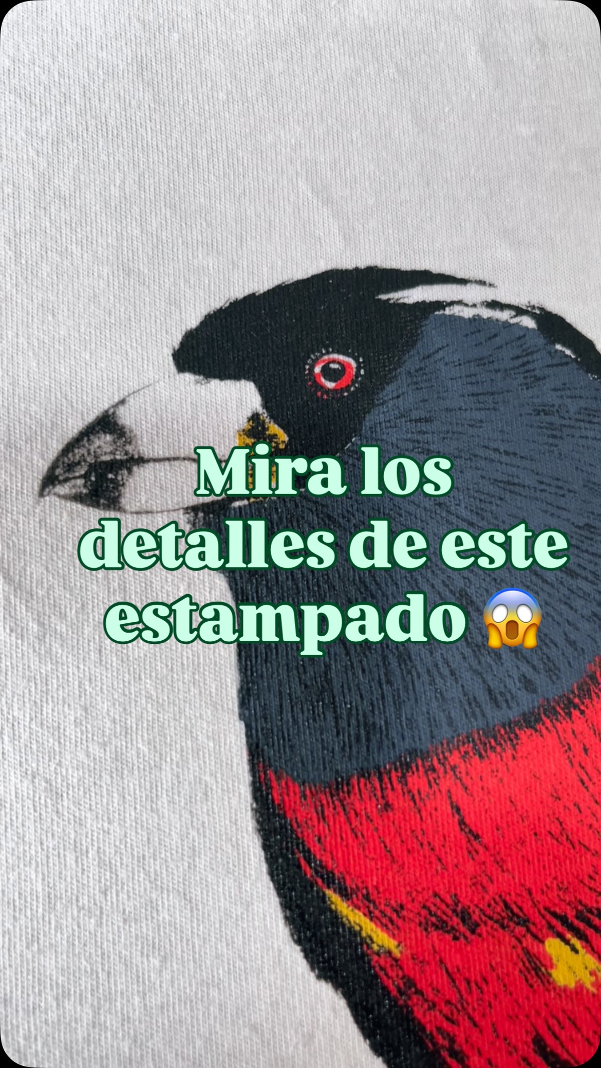 El Compás, Semnornis ramphastinus 🔥
Una más en serigrafía para el país de las aves.
Nos disfrutamos el proceso de trabajar en pro de nuestra biodiversidad, nos tomamos el tiempo para crear cosas bellas que podemos llevar con orgullo.
Y así quedó nuestra nueva camiseta en serigrafía a 4 tintas de una de las aves más impresionantes de la cordillera occidental. Puro amor por nuestra biodiversidad 🇨🇴
Camisetas 100% algodón, unisex
Estampadas con tintas libres de metales pesados
www.latiendadelmonte.com
#colombia #biodiversidad #latiendadelmonte #naturelovers
