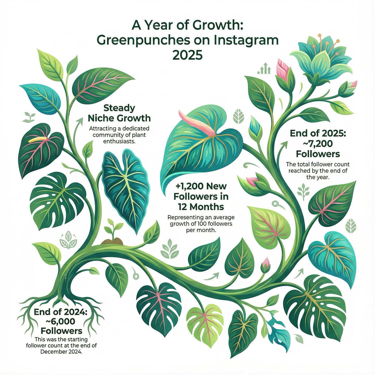 Last Day of 2025!
✨ We have said it before but we will say it again: feeling so grateful for this amazing community!
Thanks for growing with us this year—can’t wait to see what we create together next! 🌿💚
New year, new possibilities 🎉 Thank you for being here—wishing you a wonderful year ahead!
We have many many interesting stuff cooking so STAY tuned! 🙌🙌
#newyearmessage #plantagram #plantlife #instagramplantcommunity #supportsmallbusiness #plantcommunity #hopefulbutrealistic