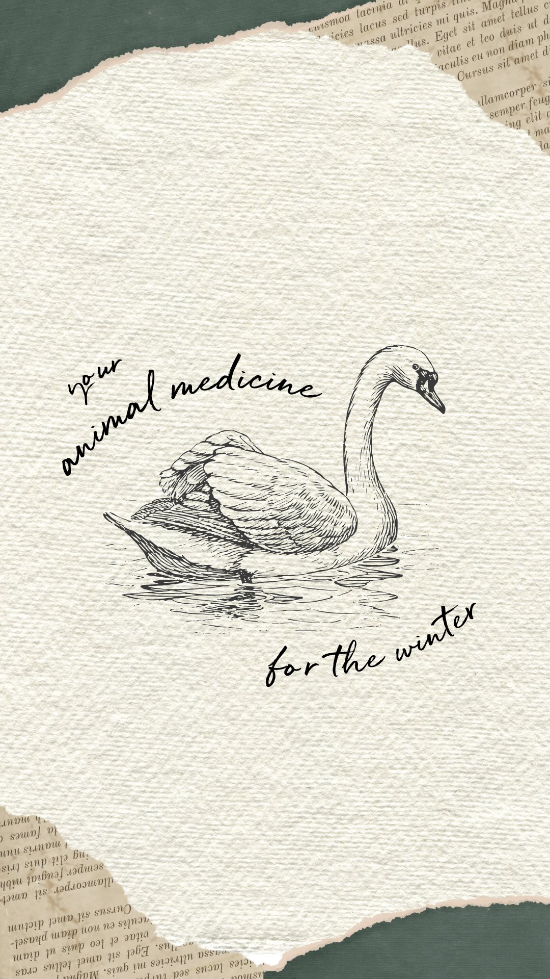 read your animal medicine below! ⬇️
🦌 stag
a symbol of rebirth and the returning sun; a guide through thresholds
📖 where am I standing at a threshold in my life right now, and what part of me is ready to be reborn as the light slowly returns?
🐻 bear
the great hibernator; a teacher of inward journeying and renewal
📖 what is asking me to rest, withdraw, or turn inward this winter, and what might be quietly regenerating beneath the surface?
🐦⬛ raven
transformation, prophecy, and messages from spirit
📖 what truth, message, or insight has been circling me lately that I’ve been hesitant to listen to?
🦊 fox
adaptability and the ability to travel between seen and unseen spaces
📖 where in my life am I being asked to move differently, more subtly, or more intuitively through uncertainty?
🦉 owl
seer of the unseen; wisdom and clear sight in the depths of winter
📖 what can I see now, in this season of darkness, that I couldn’t see before?
🐺 wolf
guardian of the dark path, teaching instinct and inner knowing
📖 if I trusted my instincts completely this winter, what would I stop questioning or second-guessing?
🦢 swan
grace through transition and soul’s movement between worlds
📖 what transition am I currently moving through, and how can I meet it with more softness and grace?
🐗 boar
courage, protection, and the strength to face the shadow
📖 what part of my shadow is asking to be faced with courage rather than avoidance?
🦭 seal
guide of liminal waters; connection to ancestry and emotional depths
📖 what emotions or ancestral stories live beneath the surface for me, and how might acknowledging them bring healing or belonging?
let me know which animal medicine is calling to you this winter! - Robyn 🤍