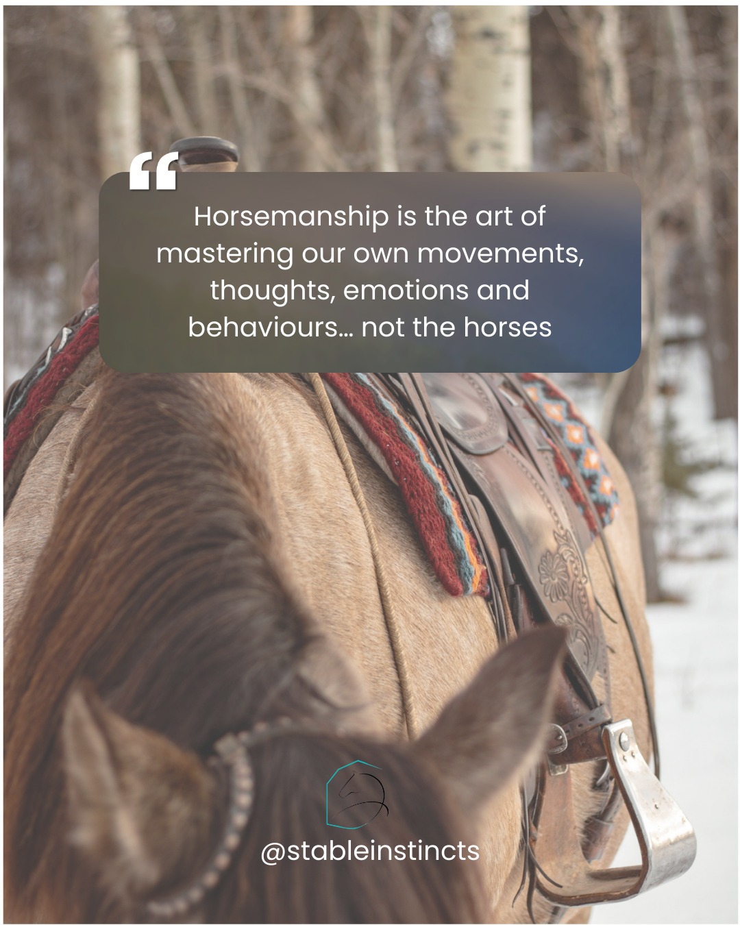 Every ride is a conversation.
Every interaction is feedback.
The more aware we become of ourselves, the more willing our horses become with us…because horsemanship isn’t about control but instead regulation. So master yourself first and the rest will follow.