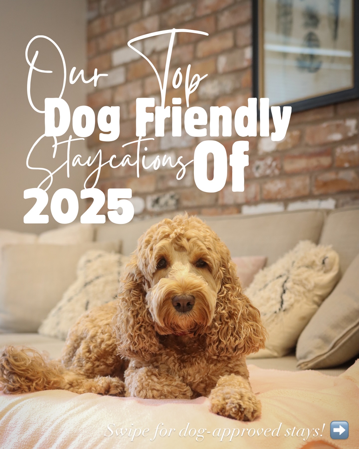 Who needs therapy when you can staycation with your dog?
I genuinely didn’t realise just how many dog-friendly spots we’d tested until I put this together… and honestly, there have been some absolute gems along the way.
Here are our top 8 2025 dog-approved spots of 2025!:
1. Little Lamberton @pawsandstaytravel
2. The Burrow @sandhole_cottages_cheshire
3. @stableviewbarn
4. Rowan Cottage @escapebeyonduk
5. Whistling Kettle Lodge @willowpasturescountrypark
6. Fern Pod (Glamping) @pawsandstaytravel
7. Copley Cottage @northern.rural.retreats
8. @lakeview.manor Brook-view Lodge