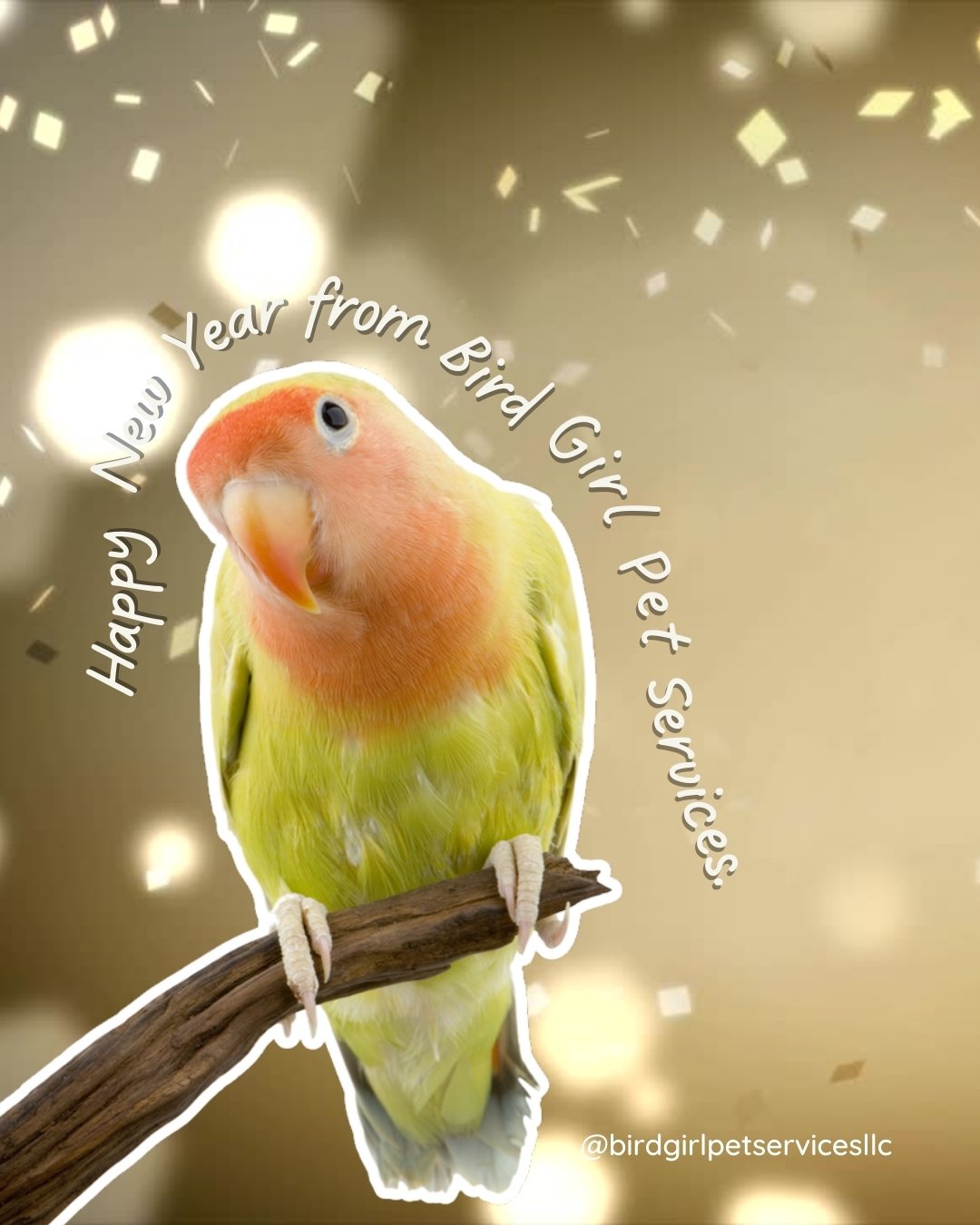 Thank you for an incredible year, Long Island pet parents. 🎄💚
Caring for your exotic pets is the greatest honor. Every visit, every cuddle, and every personality I’ve met has made this year unforgettable.
Wishing you and your pets a healthy, happy, and comfortable New Year. I can’t wait to care for your babies in 2026.