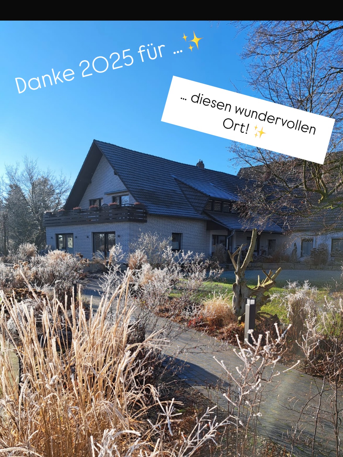 Cheers to 2025! ✨
#dankbar #neuesJahr #2025 #bestesTeam #2026