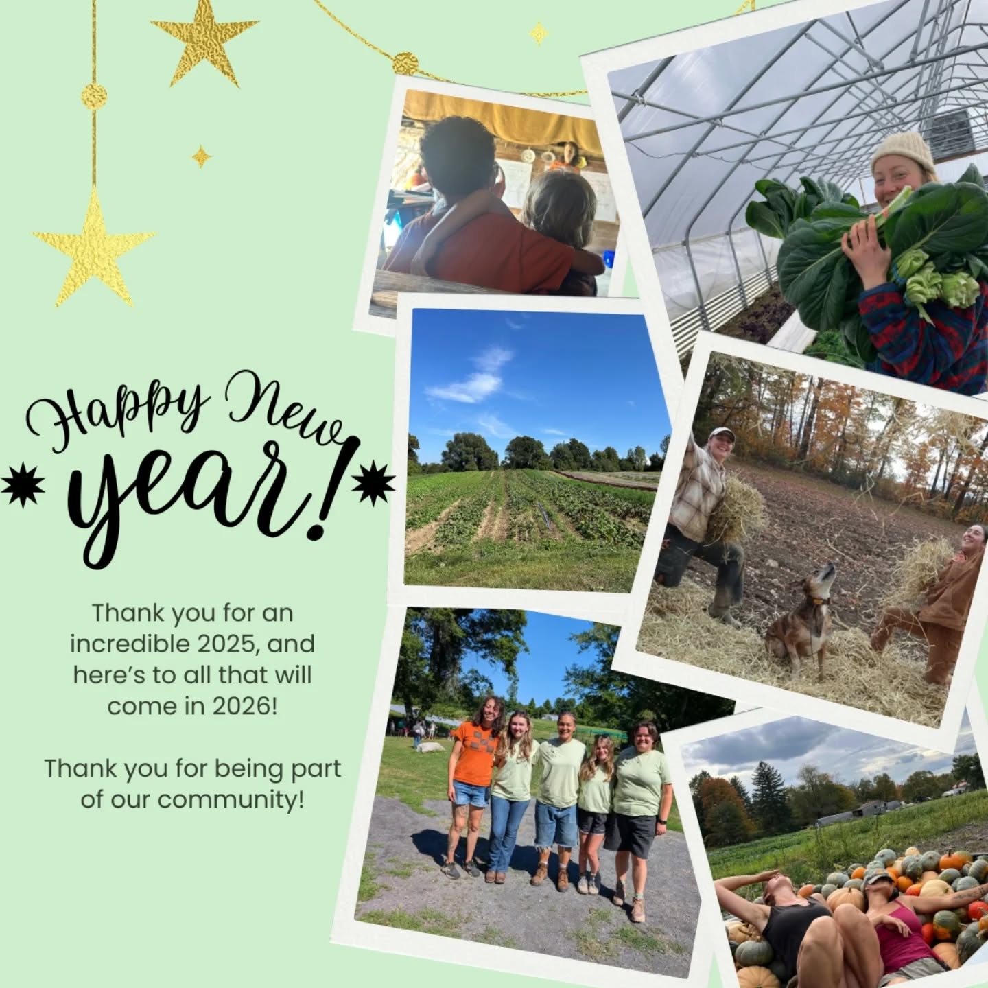 Thank you to everyone who made our 2025 what it was! While there were definitely some low lows like the November shutdown and our water infrastructure needing an emergency overhaul, there were also high highs. In particular, we are so thankful that our community continued to stand with us and help uplift others through their contributions, kind words, volunteer hours, snacks, and other acts of joy. Here's to another great year with our Phillies Bridge Farm Project family and community!