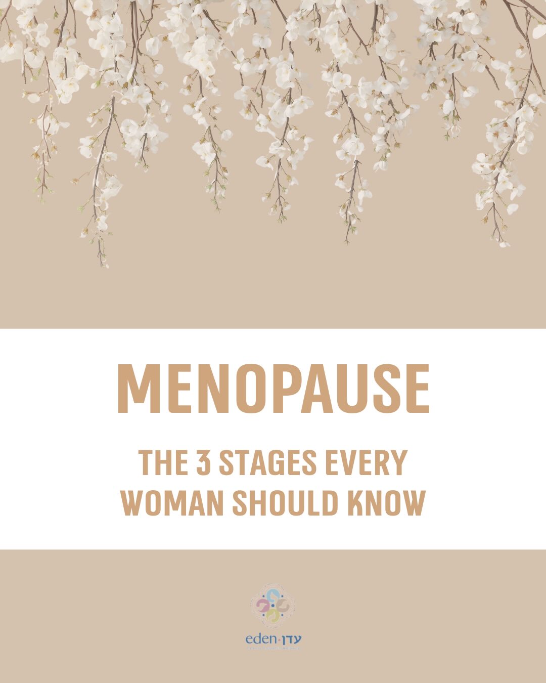 Menopause is a natural stage in every woman’s life, but it can sometimes feel challenging if early signs go unrecognized. Understanding the different stages, recognizing the changes happening in the body, and knowing when to seek professional support can make a meaningful difference.
At The Eden Center, we support women through every stage of life, offering guidance, care, and personalized support. Becoming familiar with the menopause journey empowers women to navigate this transition in a healthy and balanced way while nurturing their bodies, minds, and self-confidence.