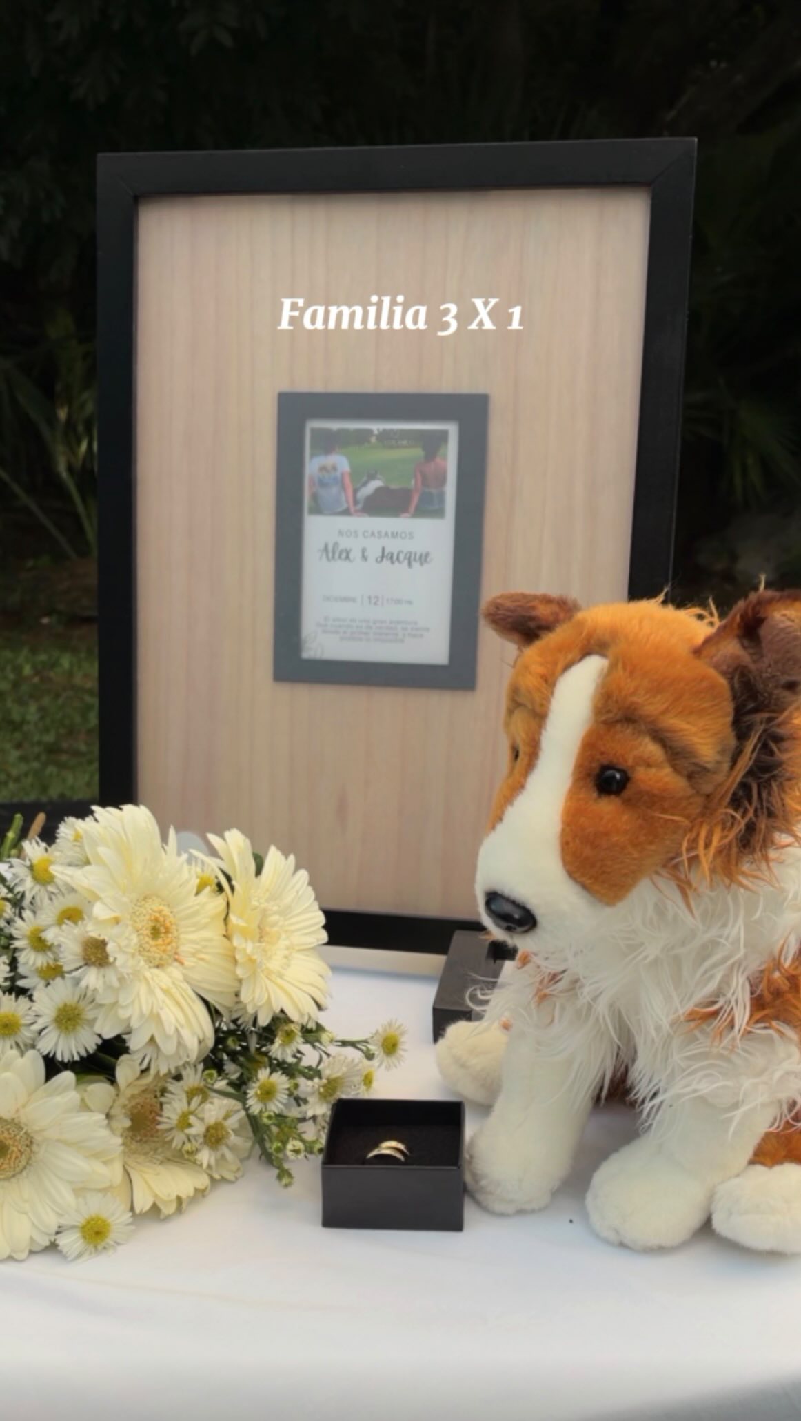 🐾Uno de los regalos más grandes que Emma me dio en vida, fue ayudarme a reconocer con qué tipo de persona quería compartir la mía.🤍
🐾Por qué tengo la creencia de que la forma en la que tratamos a los animales es un reflejo de cómo nos relacionamos con la vida que nos rodea.⭐️🌱
🤍Y creo que la compasión es una de las cualidades con la que resonamos y compartimos tanto como seres humanos y animales 🤍
🐾Durante casi cinco años, Alejandro entró en nuestra vida justo en la transición en la que Emma pasó de ser un perrito senior a un perrito geriátrico. Poder acompañar esta etapa junto a alguien con la misma capacidad de ser amoroso, empático y paciente ha sido no los regalos más grandes, que no sólo la vida, me dio a mí, sino que Emma también pudo experimentar🎁
🐾🫂Compartir la vida con una persona que te acepte sin condiciones y en su acciones encuentres entendimiento y compasión no solo a ti sino también a tu compañera de vida, en sus momentos más vulnerables, es uno de los regalos más grandes que he podido experimentar en esta vida ⭐️🤍🐾
💍Oficialmente Alejandro y yo nos hemos convertido legalmente en familia, pero la verdad, desde el día uno, Alejandro , Emma y yo siempre hemos sido (y seremos ) oficialmente una familia🐾🤍👣🤍👣🌎🌈🇲🇽🎉🇪🇸
#boda #amor #perros #amorperruno #familia