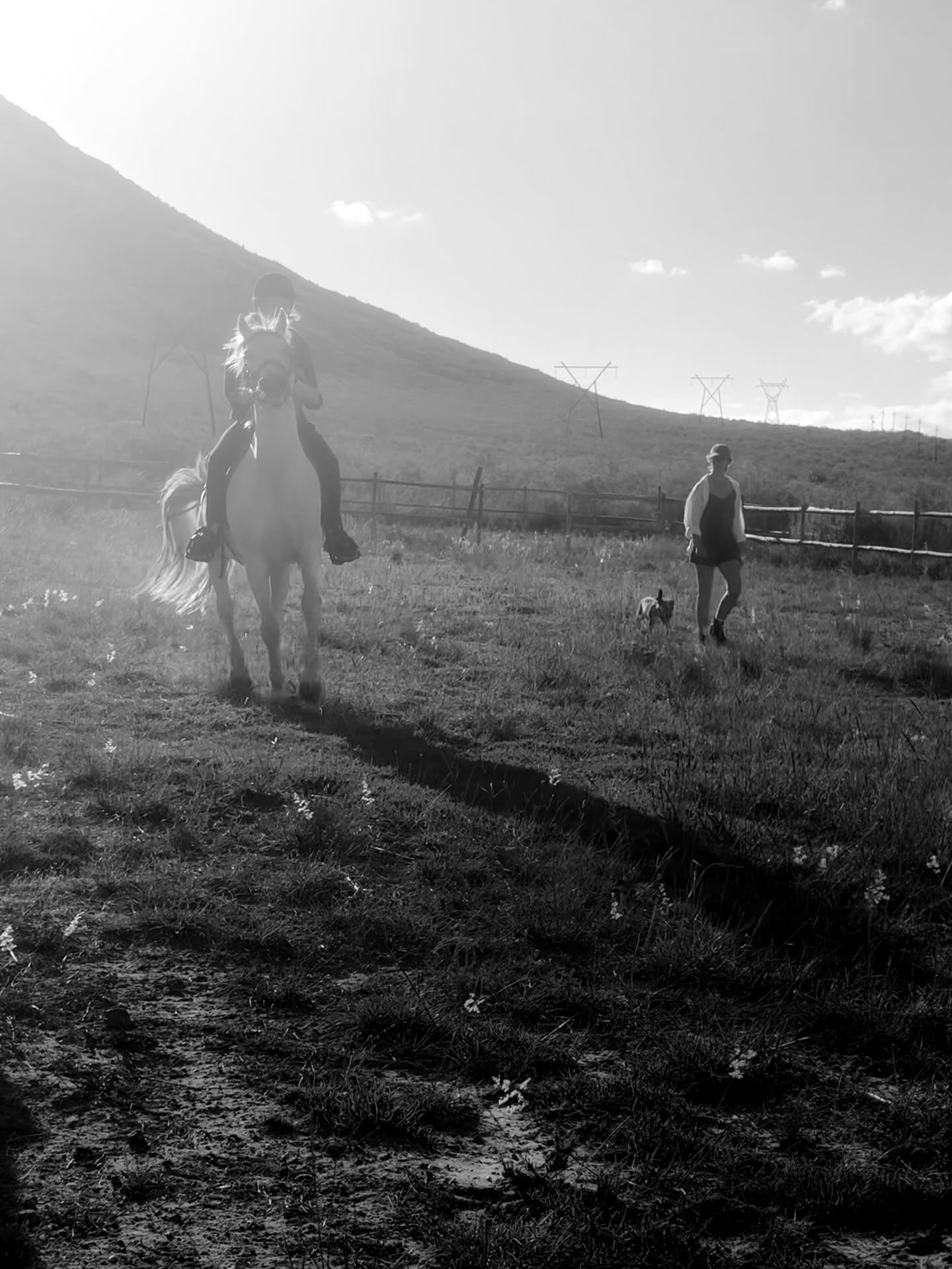 Horse riding with their godmother. At the Olive Farm in Mc Gregor. Chats and wine and wandering walks.