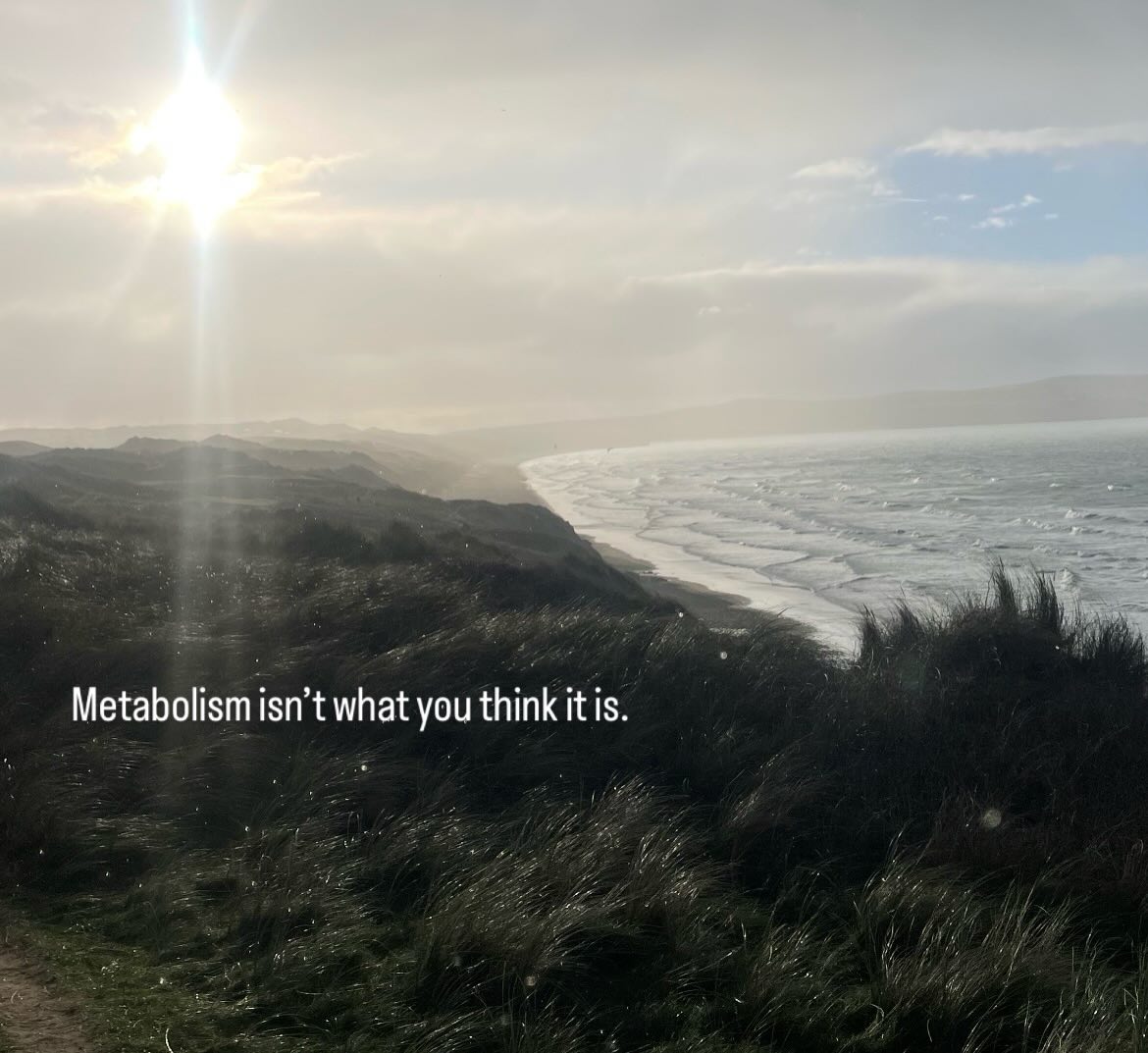 Your mitochondria are asking one question:
“Are we safe?”
Safe = make energy efficiently.
Threat = defend and store.
Most people are stuck in defence mode without realising it.
Chronic stress. Poor sleep. Never truly safe.
Your body hoards energy instead of using it.
You feel exhausted but can’t shift weight.
The solutions = Simpler than you think.
This Sunday: what metabolism actually is, the metabolism hierarchy and the actions that help tell your body it’s safe.
See you tomorrow.
#happynewyears #metabolic #nutrition #health #resilience