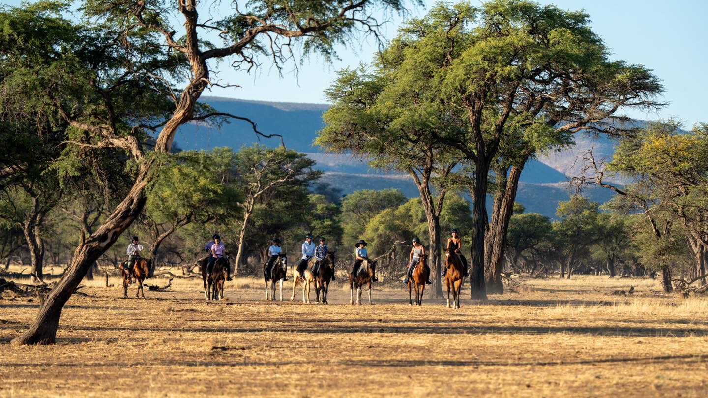Thank you for beeing with us in 2025!
It was an amazing year full of adventures. We had so many wonderful guests and did so many great Horse riding Safaris and Working Holiday projects. We wish that New Year will be as good as the last one 🙏🏻
#2025 #horseridingholidays #horseridingsafaris #recup2025 #workingholidayafrica