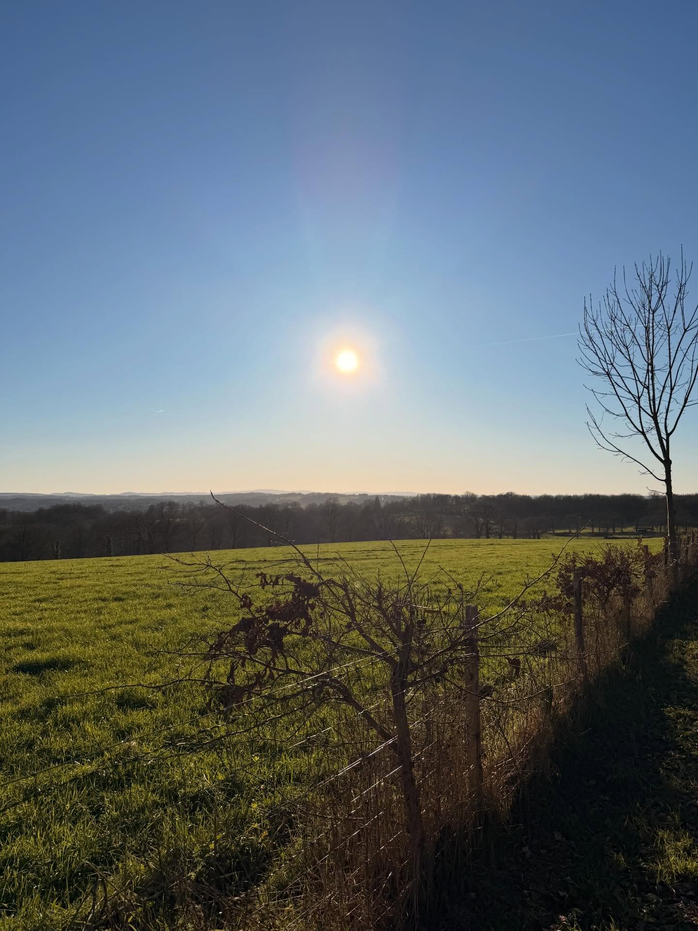 ☀️. Que la lumière de 2026 vienne entretenir chaque rayon de votre soleil intérieur.☀️
Une très belle année à vous
🤍
…
..
.
..
…
#newyear #nouvelleannée #sun #wildlife #spirituallife
