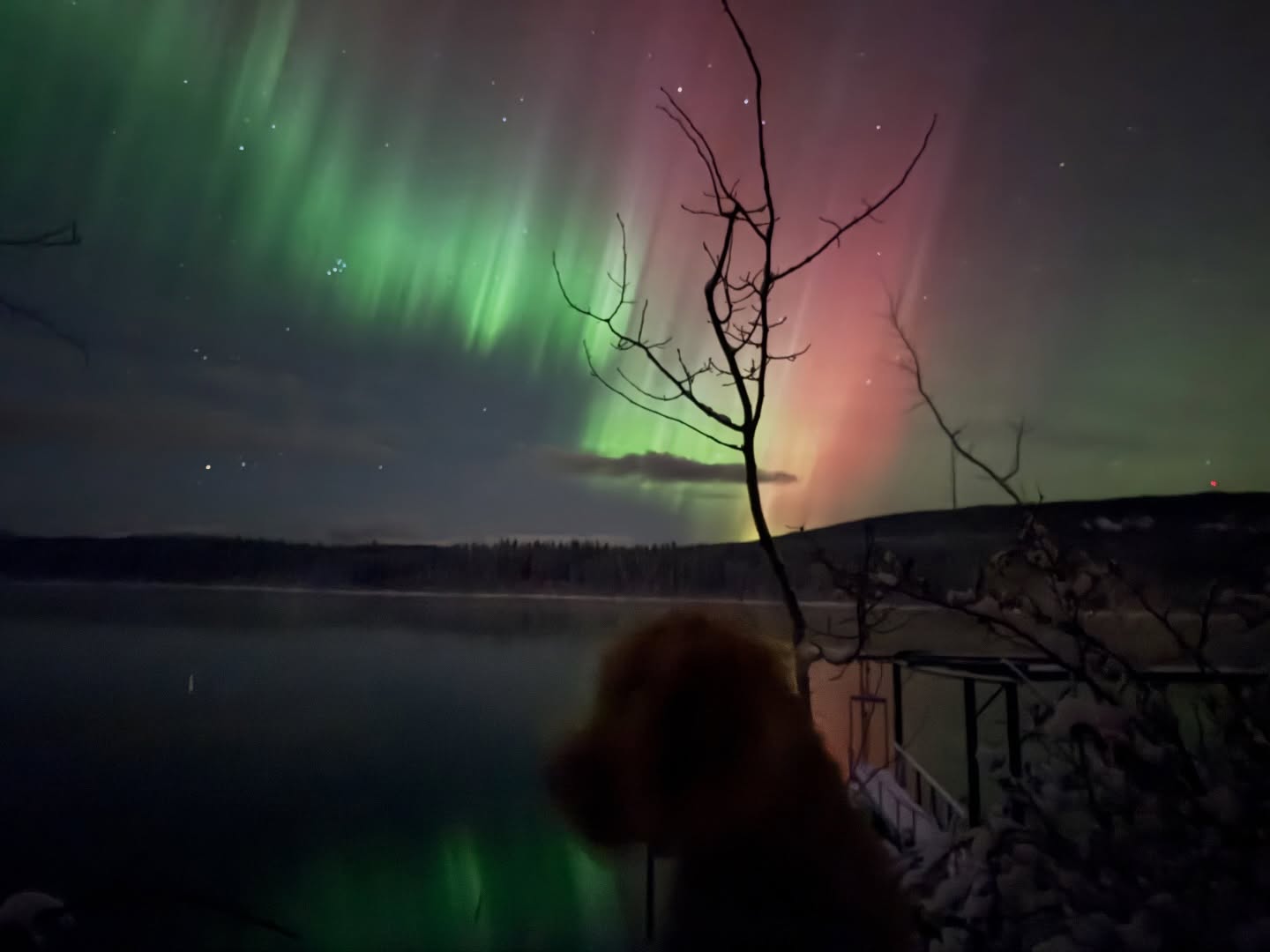 Happy New year all. I hope you have the best adventure year ever!