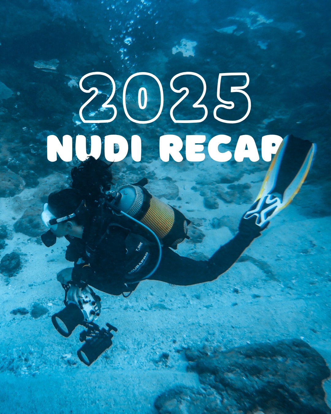 This is our 2025 nudibranch research recap! 🪸✨Thank you to every volunteer who helped spot, photograph, and log nudibranchs this year! 🐌🩵
