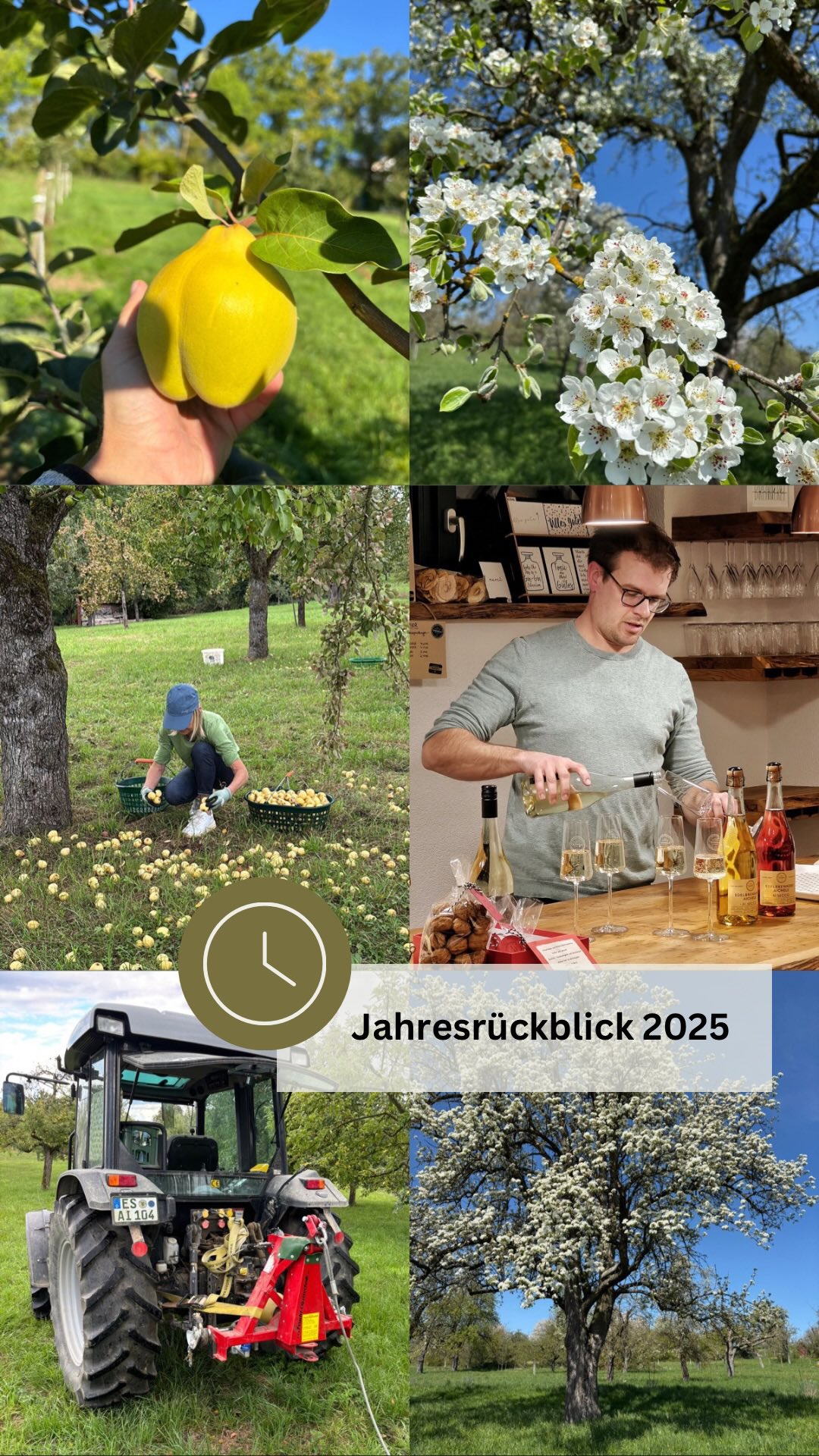 Ade 2025 🍒🍐🍎
Ein Jahr voller schöner Momente geht zu Ende.
Danke an alle, die uns 2025 unterstützt haben.
Auf ein tolles Jahr 2026 - mit neuen besonderen Augenblicken!
#edelbrennereiaichele #ostfildern #regional #schnaps #äpfel