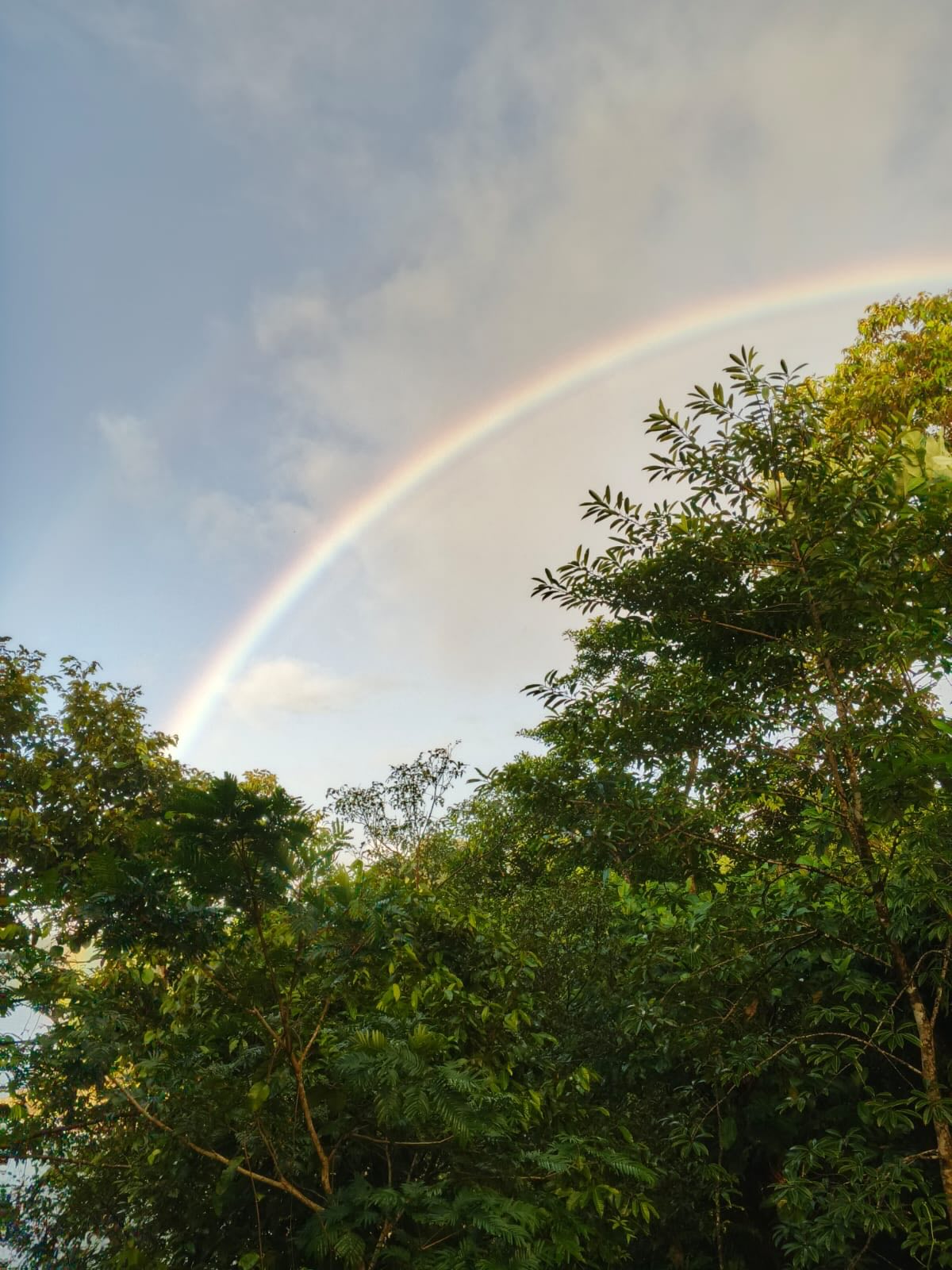 Últimos días del año en Punta Brava. Esperando la entrada del veranito…
#ecohotel #chocó #colombia