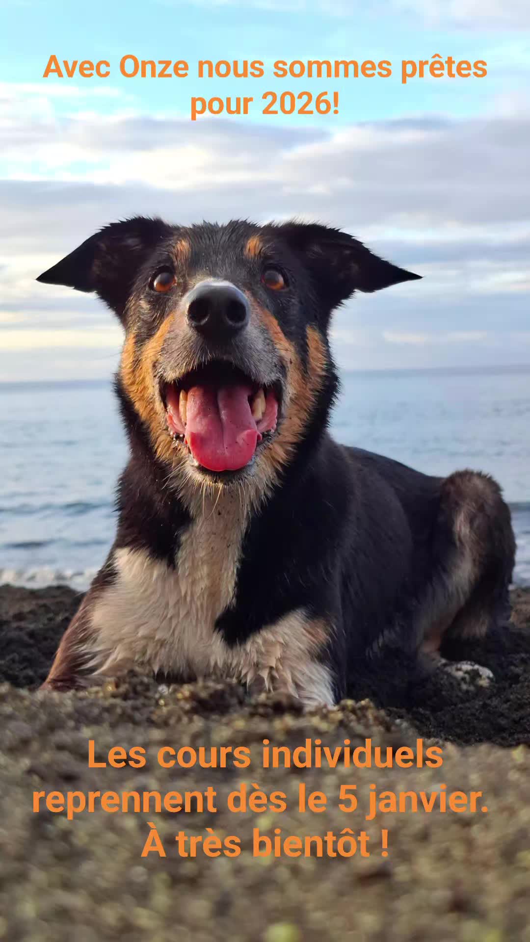 #educationcanine974
#chienheureux #comporte#comportementcanin #iledelareunion #éducationpositive #chien974 #comportementalistereunion #educationpositive #chiot