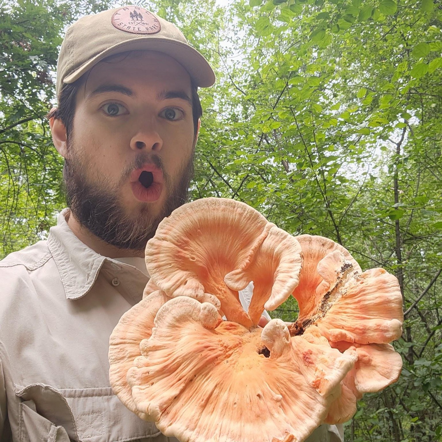 Jan 9-11 2026 Santa Cruz Fungus Fair
https://www.ffsc.us/santa-cruz-fungus-fair
Speaker Spotlight: Andrew Ratz
Field and Lab Technician | University of Minnesota
We hope you will be as excited to welcome Andrew as he is to be speaking at the fair for the first time.
In his words, "I am fascinated by biogeography and the dynamic ways life shapes its environment; as well as how these environmental conditions, in turn, structure where organisms live and how they move through the world. I am particularly interested in the processes through which biological communities influence abiotic landscapes and the complex spatial patterns that can emerge from these interactions. This passion has led me to work across a range of systems, from aquatic plants and insects to snow algae and soil microbes. I am equally at home in forest plots, fungal forays, running DNA extractions, and analyzing large and messy data.
I graduated from the University of Minnesota in 2024 and now work as a field and lab technician. I enjoy both hands-on ecological work and uncovering hidden patterns in big datasets. Outside of research, I spend my time running around the Twin Cities, bouldering, and delving into lengthy fantasy series that take ages to finish."
#mushrooms #mycology #wildmushrooms #fungusfair #fungifundamentals #postlandtrust
#santacruzmuseumofnaturalhistory
#chefsloungesf #truffles #mushroom #hongos #setas #science