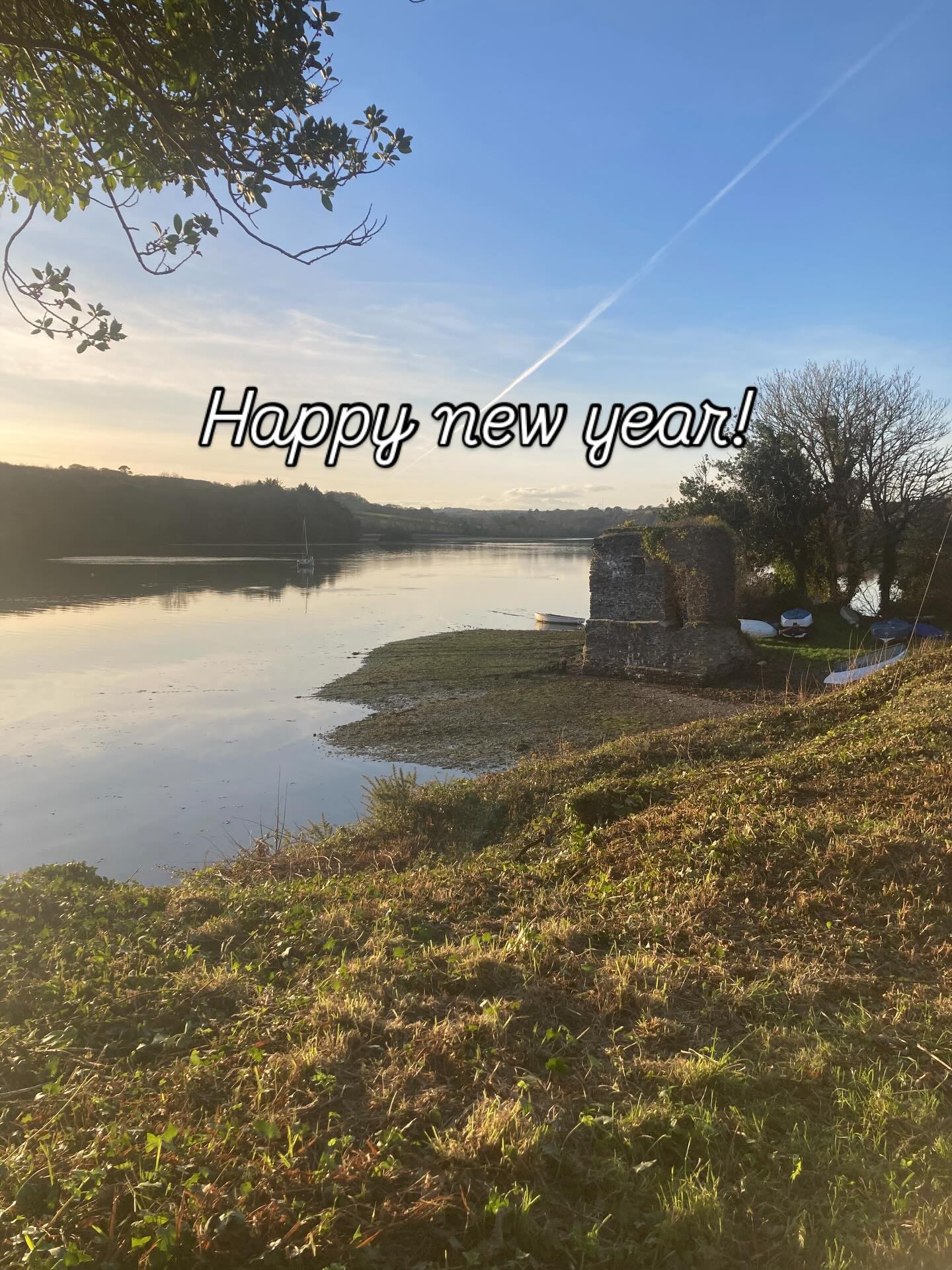 Happy new year! See you in 2026 for supper clubs, foraging, talks and so much more! 🪐💚 #foraging #2026 #forager #talks #newyear