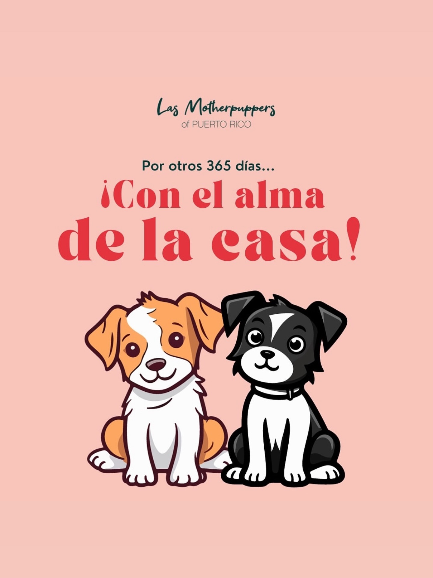 Nuestro mayor deseo en este año nuevo! 🧡
#newyears #dogmomsofpr #puertorico