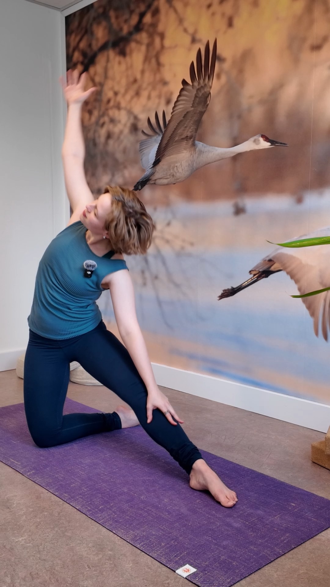 Do this when you don't feel like yoga (but you know you should)
Mat by @completeunityyoga Use code "EJ15" to get 15% off your own mat 😊
#miniyogaflow