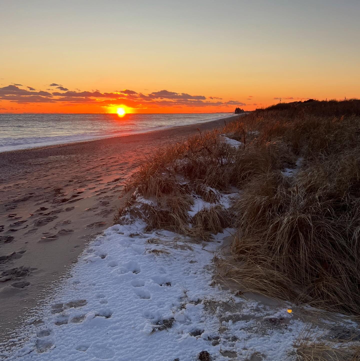 Happy New Year!
Summer dates are open - time to plan your beach vacation!