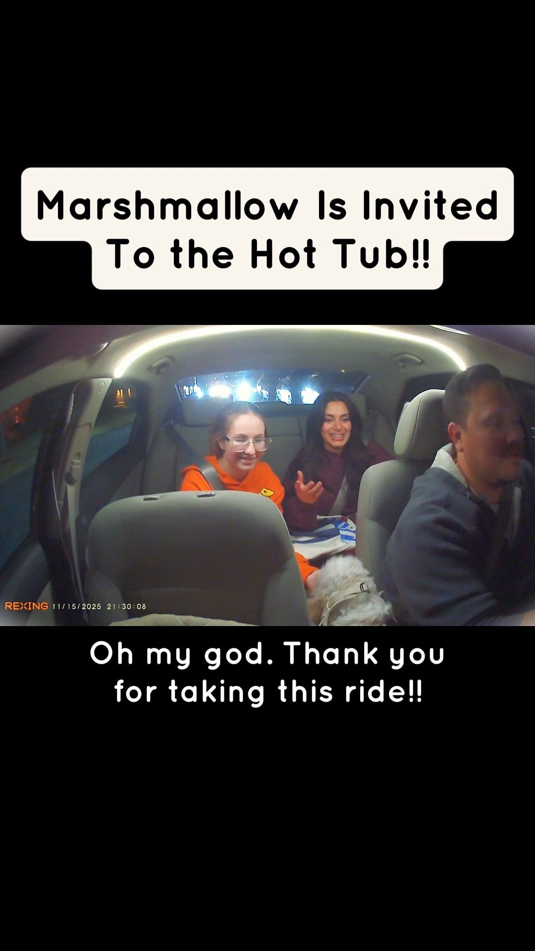 Marshmallow, the Chick Magnet!
#ridewithmarshmallow #thelyftpuppy #dogsofinstagram #cavachon #minnesota