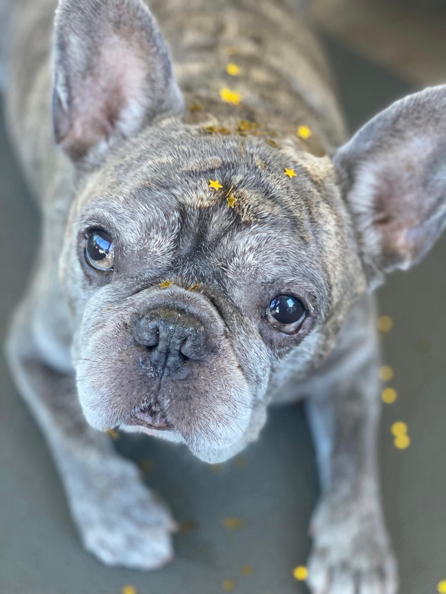 MURPHY‘S wünscht euch ein wunderschönes Jahr 2026 ✨ #happynewyear #2026