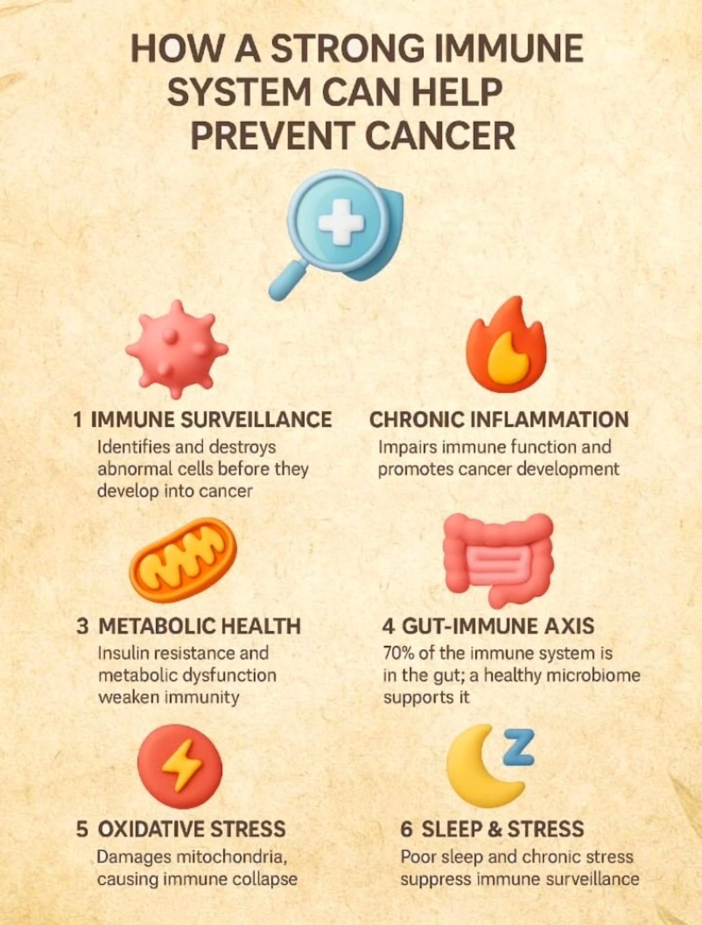 Your immune system is the first line of defence against cancer - long before cancer appears on scans, tests or shows any symptoms.
Cancer just doesn't appear.
A weak immune system let's those cells slip through, while a strong one stops it at the door.
Here is how immunity protects you:
1️⃣ Immune surveillance - NK cells and T-cells destroy mutated cells daily.
2️⃣ Low inflammation - a calm, well regulated inflammatory response supports immune strength and creates an environment where healthy cells thrive.
3️⃣ Metabolic health - healthy insulin senstivity and strong mitochondria fuel immune cells so that they function at their best.
4️⃣ Gut Immune axis - 70% of immunity lives in the gut; a healthy microbiome strengths defence.
5️⃣ Low oxidative stress - protects mitochondria allowing immune responses to stay efficient and resilient.
6️⃣ Sleep and stress - even one night of poor sleep can drop NK cells activity by 70%.
Everyday choices quietly strengthen your immune cells army long before disease has a chance to take hold.
Also, a nourishing anti cancer diet supports gut health, metabolism and lowers inflammation, where food becomes daily protection not just a fuel. At Beat Cancer, we take pride in providing best integrative support through one month Anti Cancer Diet plans at affordable costs. Visit - www.beatcancer.co.in or call -91-9675599936
#cancerawarness #healingcancer #cancertips
#cancerprevention #cancerresearcher