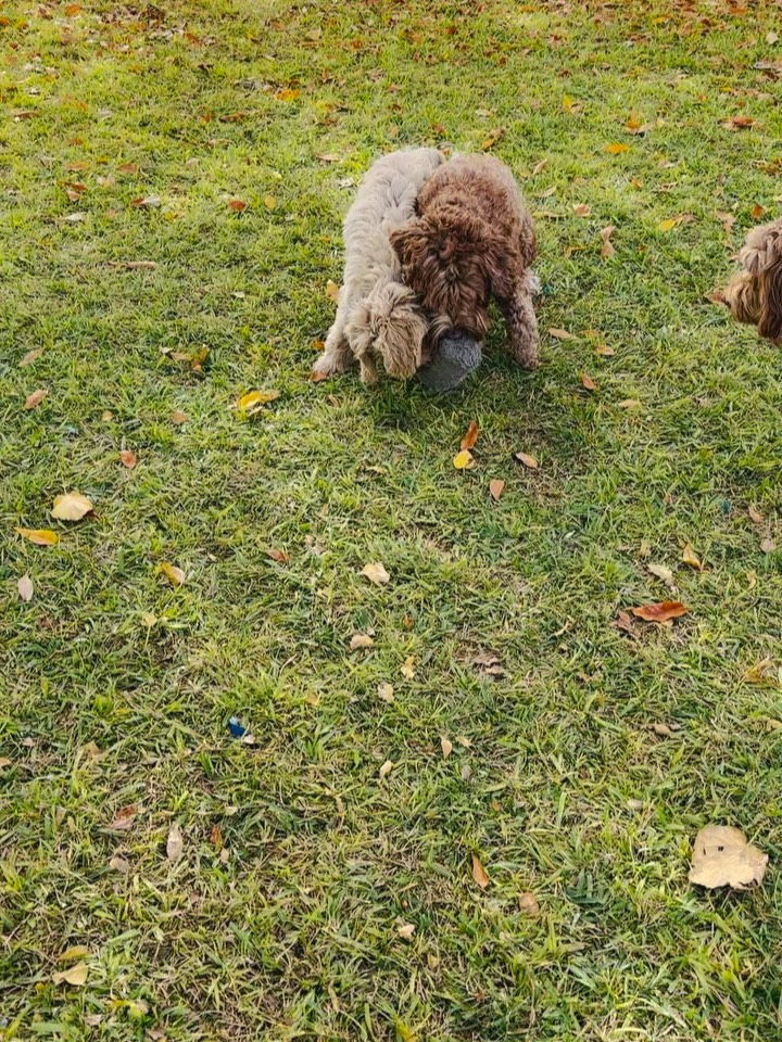 Happy 2026! May you have a happy new year and lots of love and laughter ๐