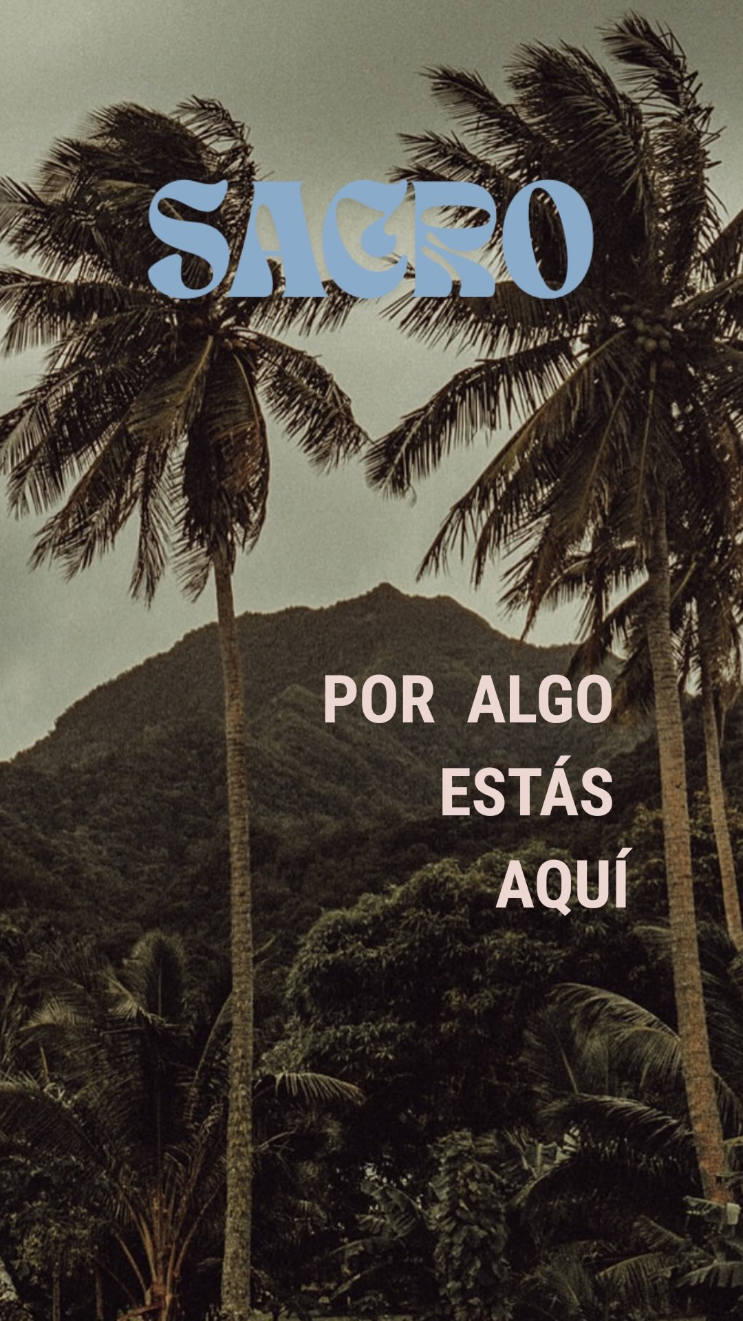 Este 2026 es tu oportunidad para no solo viajar al sudeste asiático, sino de hacerlo con sentido y con personitas mágicas alineadas a tu vibe!
Ultimas plazas disponibles para 🌀 SACRO 🌀 nuestro retiro de magia y buceo en la paradisíaca isla de Koh Tao, al sur de Tailandia.
Un viaje donde se fusiona la magia con el buceo, siendo el océano canal de sanación y la selva testigo.
Alojados en una Villa increíble que solo en Tailandia podrías vivir, practicando yoga, meditación, reiki, tarot, astrologia, registros akashicos entre otras magias más
Nos abrazamos en semana santa 2026?
Comenta SACRO y te enviamos todo lo que debes saber para ser parte de esta aventura
🌀🪸🐚🐋🩵🧚🏻♀️
#retiros2026 #retirotailandia #retirobuceo #retirobuceoyoga