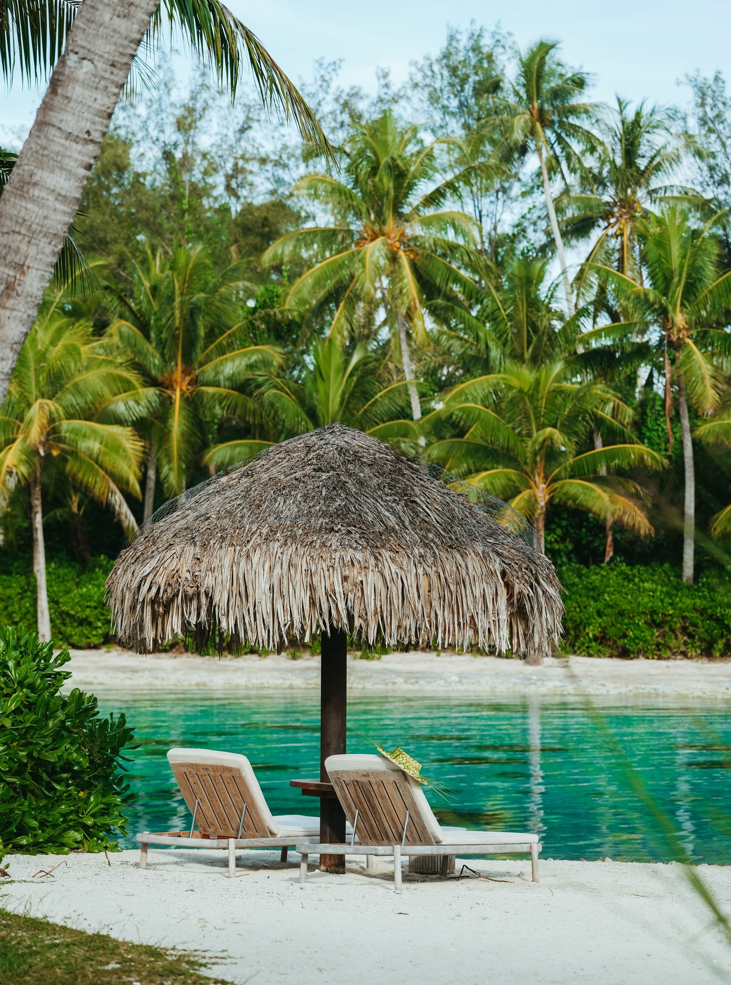 Un rincón fuera del tiempo para despedir el año,
donde la arena abraza la calma y el sol nunca tiene prisa.
Aquí el año termina en el paraíso…
y la Polinesia se convierte en la primera página del nuevo calendario.
•
A timeless corner to say goodbye to the year,
where sand meets serenity and the sun is never in a hurry.
Here, the year ends in paradise…
and Polynesia becomes the first page of the new calendar.
📷 @emmatournier_ | @ic_boraborathalasso
#MoemoeaTravel #PolinesiaFrancesa #FrenchPolynesia #EndOfYearInParadise #NewYearVibes #IslandEscape #BungalowLife #BeachDream #LuxuryTravel #ParadiseMood #SlowTravel #IslandMagic