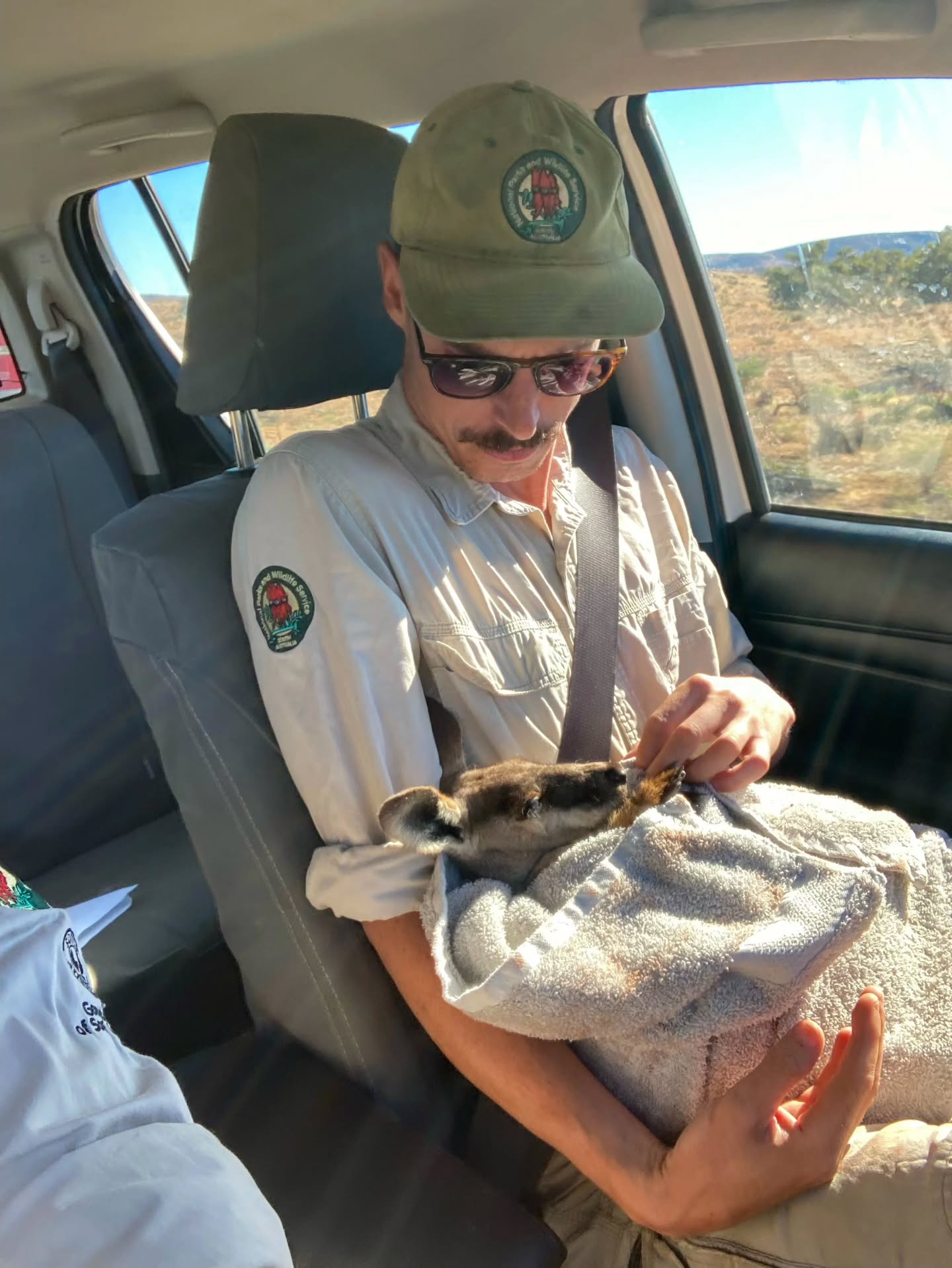 Not all hero's wear capes 🦸♂️
These rangers were notified of an unwell Yellow-Footed Rock Wallaby, and transported it off to a local wildlife carer to be looked after 🦘