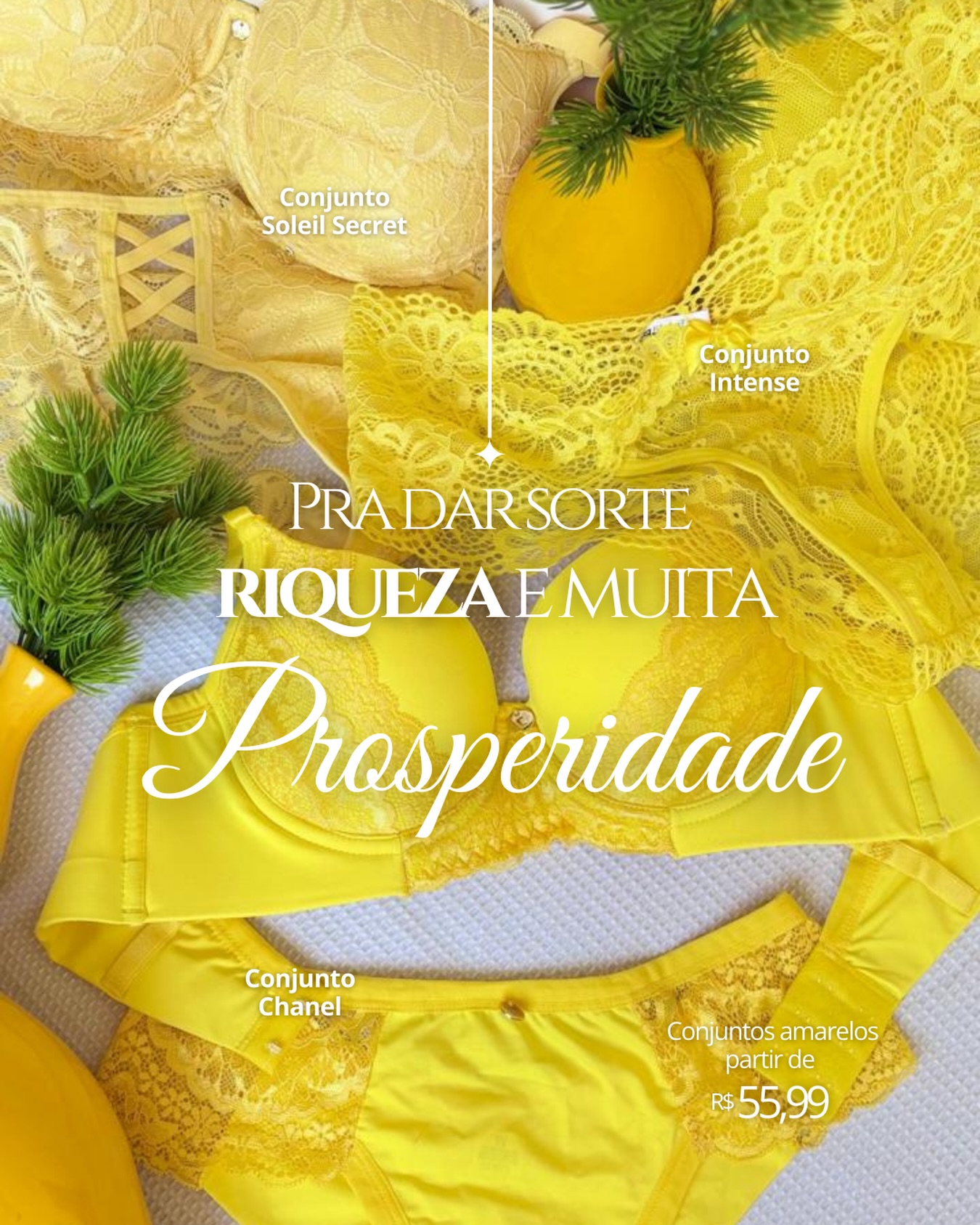 Para chegar em 2026 confiante, iluminada e rica. O link está na bio 💰💵 #billionaire #lingerie #2026