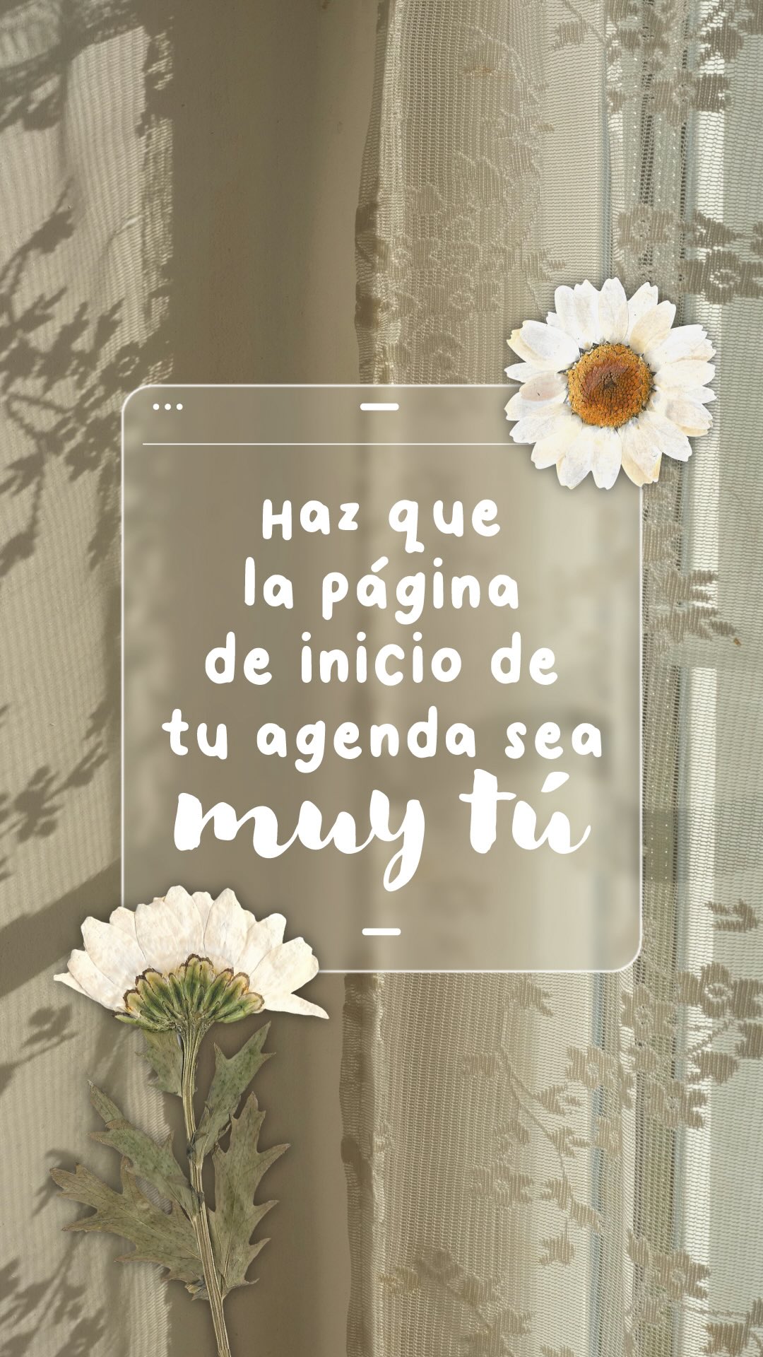 Idea para personalizar la página de inicio de tu agenda digital 2026 para que refleje quién eres 📸
Ponte creativa, añade tus fotos, dibuja, usa los stickers que ya vienen incluidos y haz que tu agenda refleje tu estilo.
Una agenda 2026 diseñada para acompañarte todos los días, a tu manera 🌻
#agendadigital #agenda2026 #creatividad #collagedigital #scapbooking
