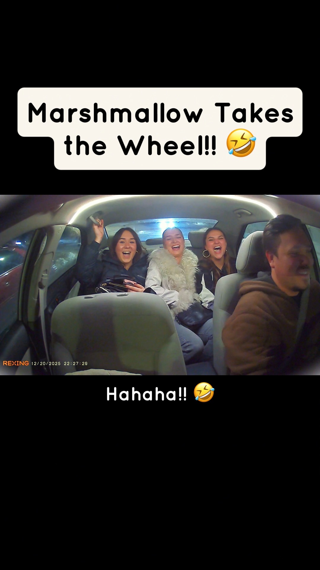 The Puppy Tries to Drive?!
#ridewithmarshmallow #thelyftpuppy #dogsofinstagram #cavachon #minnesota