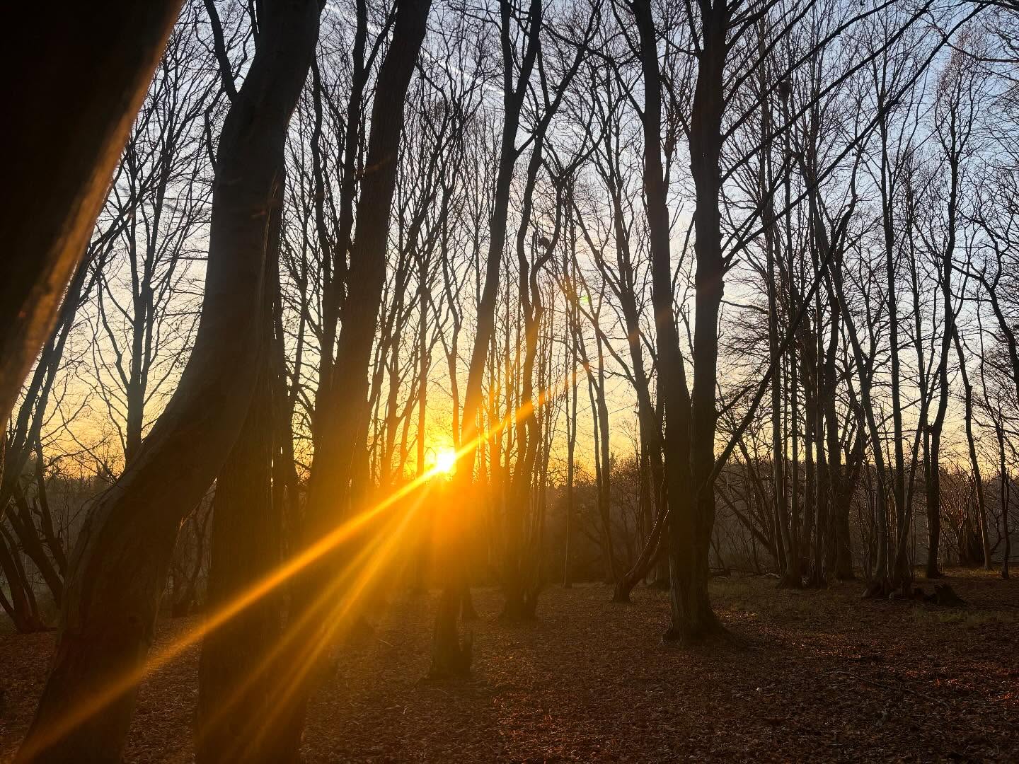 After a year of living with, studying, teaching and journeying with the the myth of Psyche and Eros, my body knows in a new way the soul’s (Psyche’s) affinity for Love and for Life (Eros).
She knows that to be alive, is to feel. And that to feel, is to allow it all. The despair as well as the joy.
She knows what it is to move between the underworld and the over culture (thank you @clarissapinkolaestes).
She knows that our over culture is on a mission to detach us from feeling; to diminish it; dehumanize it and us in the process.
She knows that she is the vessel through which the forbidden feelings must pass, be felt, be digested and alchemised.
She knows that em-bodi-ment is the way to our humanity. Through our vulnerability, our attachments, our love, as we feel it all. Psyche learns to cherish her human self, with all her flaws and limitations and so learns how potent she is.
She learns to trust her longing for life and for pleasure.
This is our collective task. As the sun sets on this calendar year, let us embrace the recovery and valuing of our humanity in a world that sells us the myth of being gods and goddesses. Let us embrace and nurture life.
This is why we need mythology. Why we need Eros and Psyche. To remember what we are and what we are not. And to be what we are.
As the sun sets on this year, I wish you all a gentle entry to the new year and the guidance inner and outer to find and follow the life force in your own human being 🙏✨❤️
#marionwoodman #erosandpsyche #mythasmedicine #mythastherapy #storymedicine #newyear #theembodiedsoul #psychotherapistsofinsta