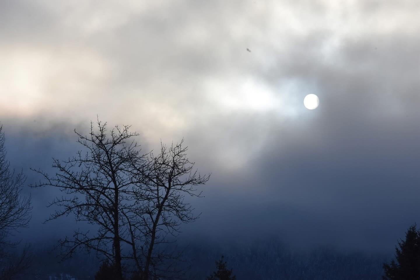 Beauty everyday Jan 2 - this pic is from 2018 but interestingly the moon is at pretty much the same phase this year. Happy full moon tomorrow