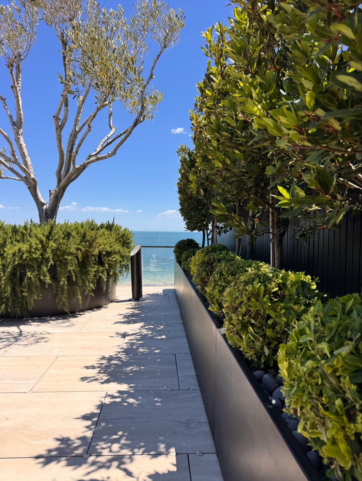 Back on the tools. Letās go 2026 āļø š± āļø
#gardensofmelbourne #gardening #stkilda #summergarden #gardenmaintenance