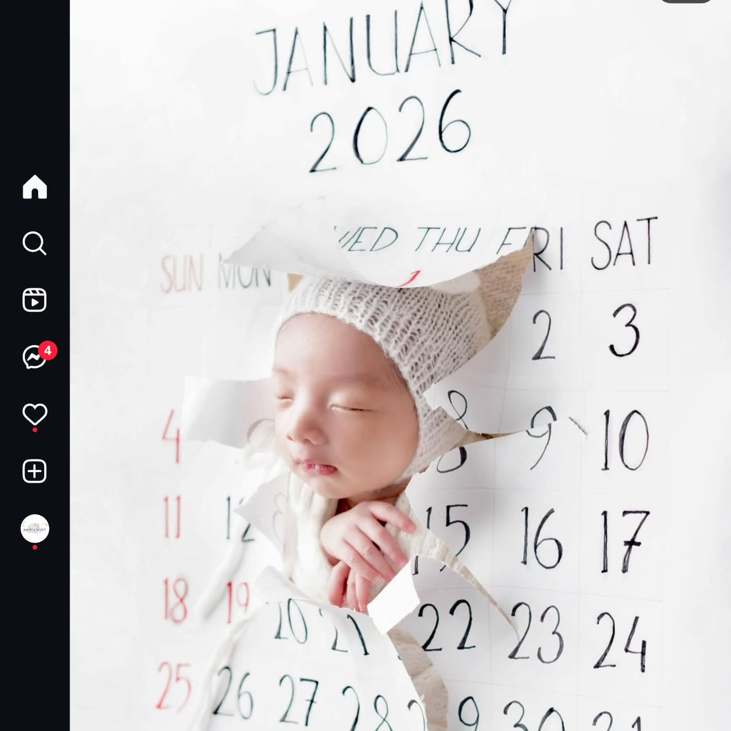 January, here we come! What an exciting job I"ve created for myself...capturing Aucklanders!