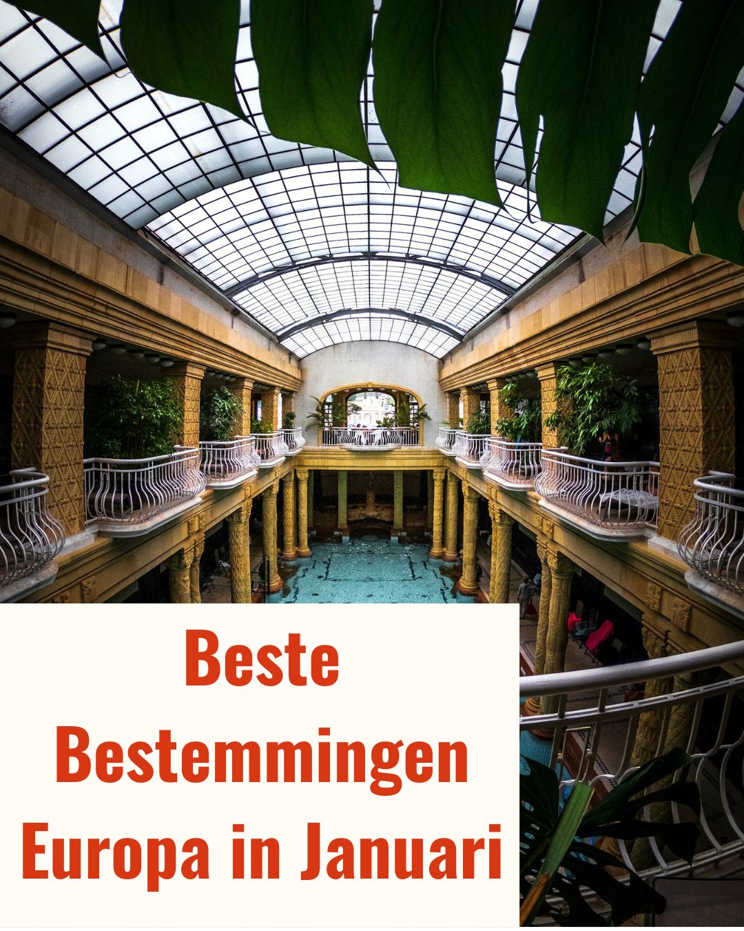 Januari is hét moment om te reizen. ❄️✈️
Minder drukte, lagere prijzen en bestemmingen die juist nu op hun mooist zijn. Van warme baden in Boedapest tot lege paden in Cinque Terre. Dit zijn de beste reisbestemmingen voor januari 2026! 🌍
Welke zet jij bovenaan je lijst? Laat het mij weten in de comments! 👇
#januaritravel #winterzon #reisinspiratie #travelreels #reisadvies #bucketlist #slimplannen #vakeropreis #europareis #ontdekken #reistips #travelgram #metthijsopreis #linkinbio #winterescape
Foto's door:
1 & 2. Daniel Olah
3. Tânia Mousinho
4. Luis Barreto D
5. Scorn Pion
6. Zdeněk Macháček
7. Jenny Whitney