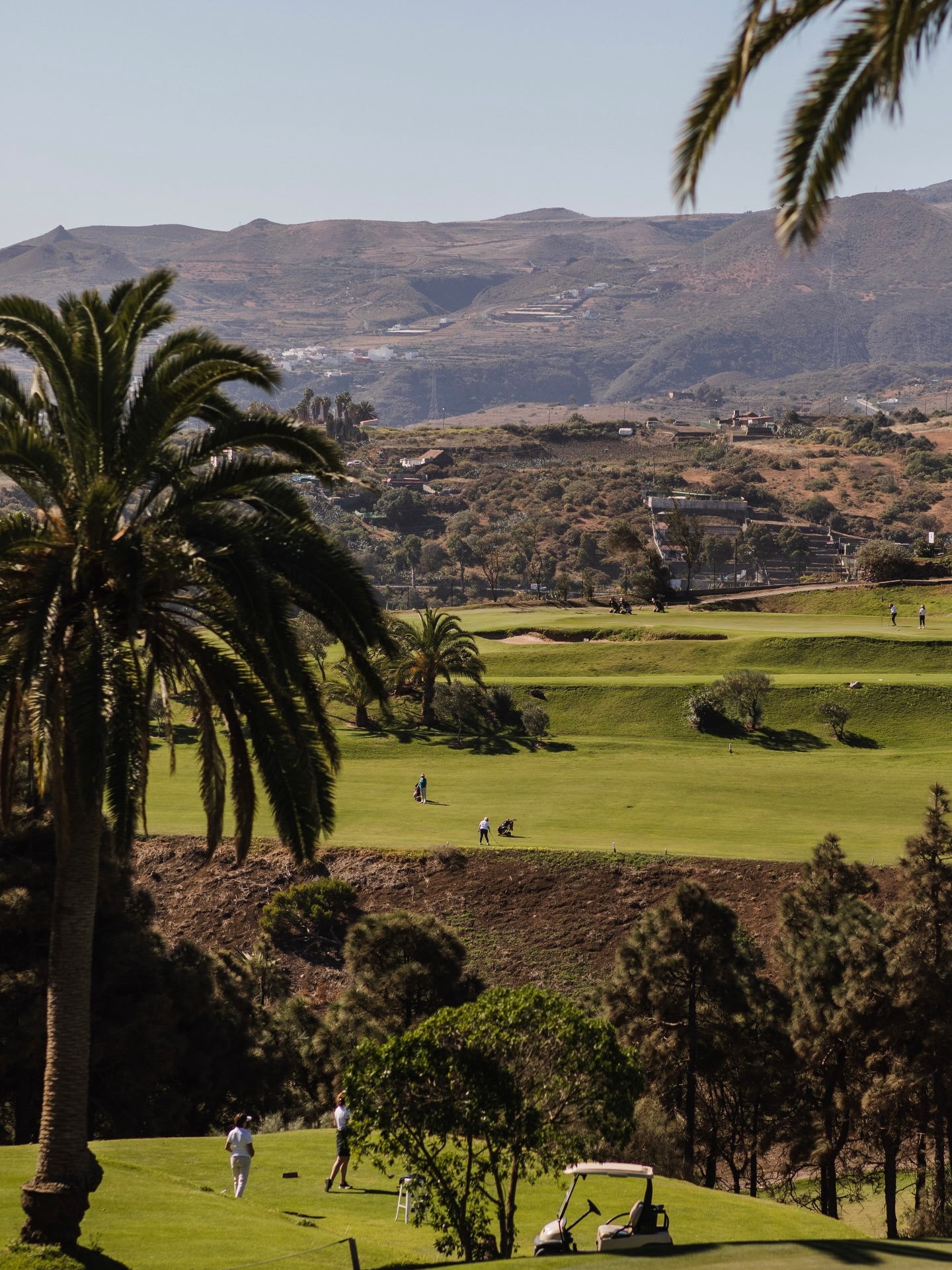 No es una forma de acabar el año. Es una forma de recordarlo 💛
It’s not a way to end the year. It’s a way to remember it 💛
#BandamaGolfHotel #RCGLasPalmas #IslasCanarias